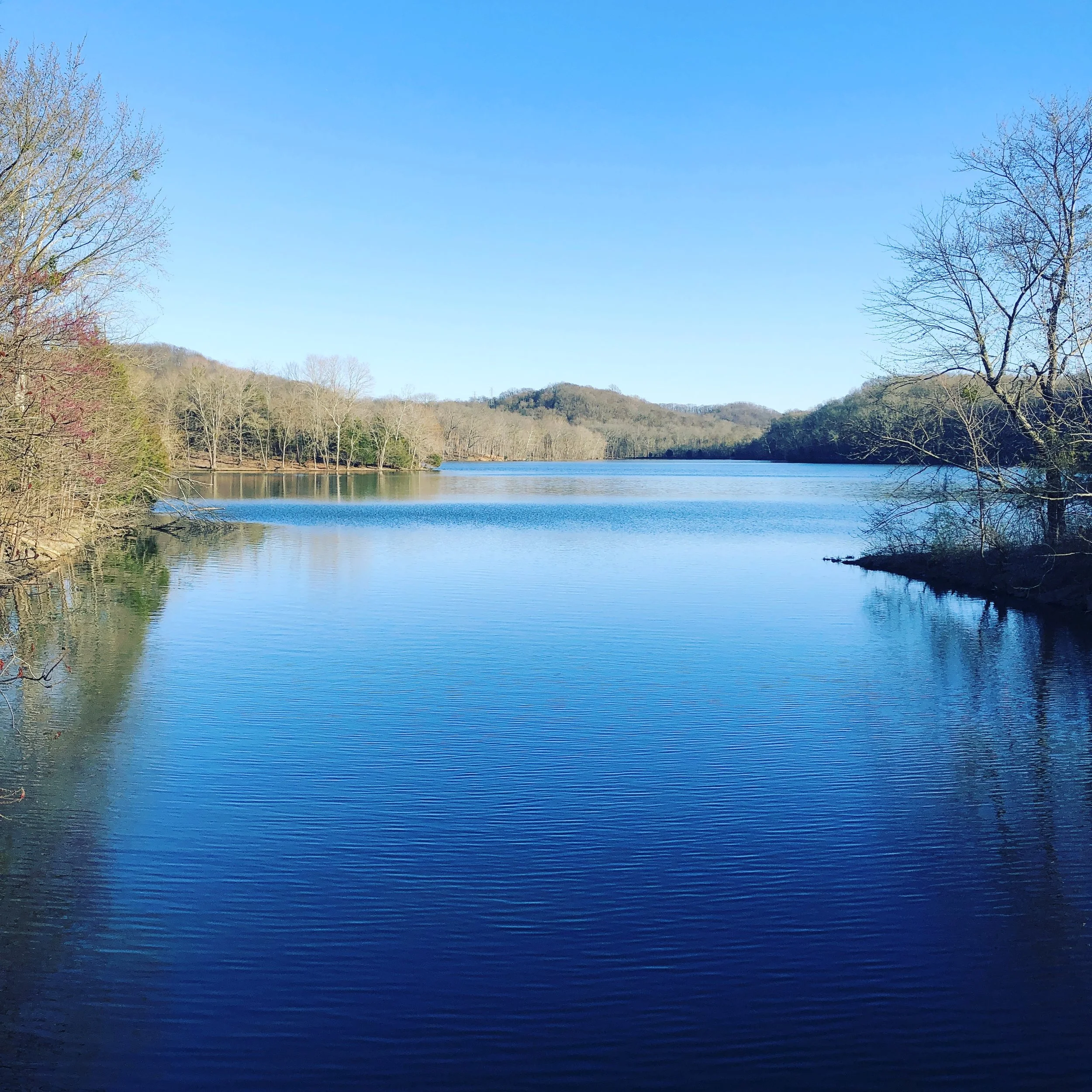 Weekend Musts in Music City