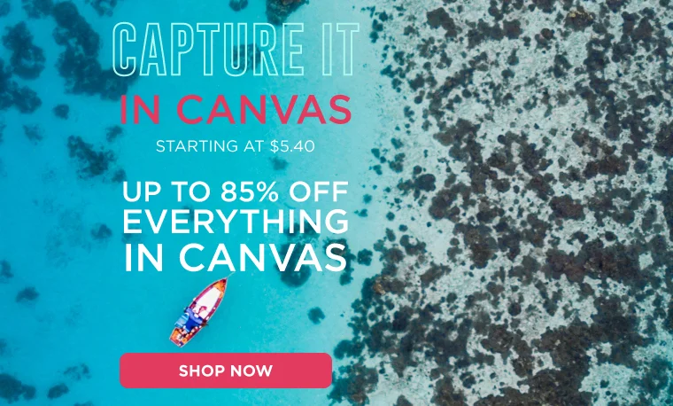 041117_85Off_Capture_In_Canvas_Email_Primary.jpg