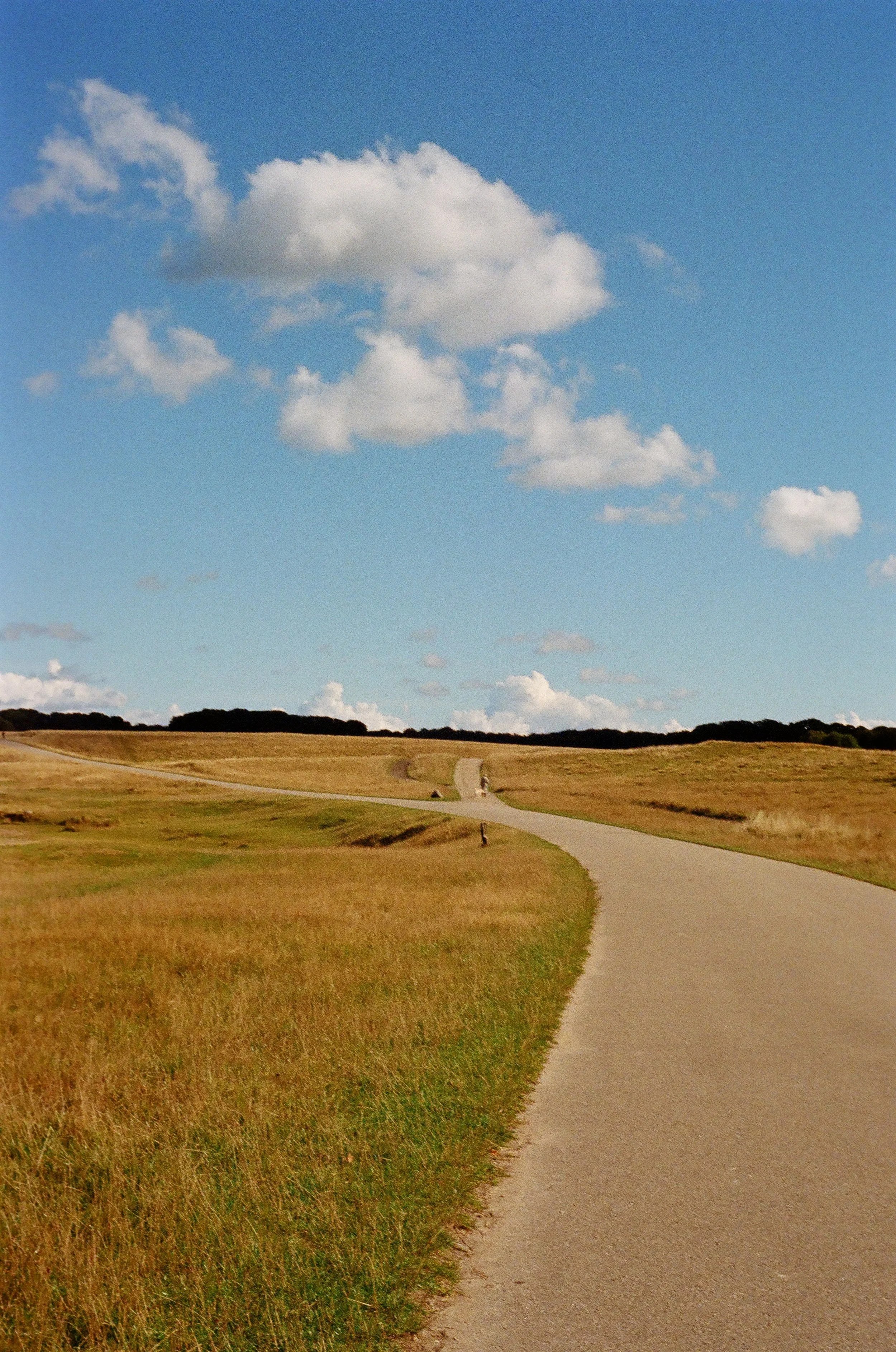 51370030.JPG