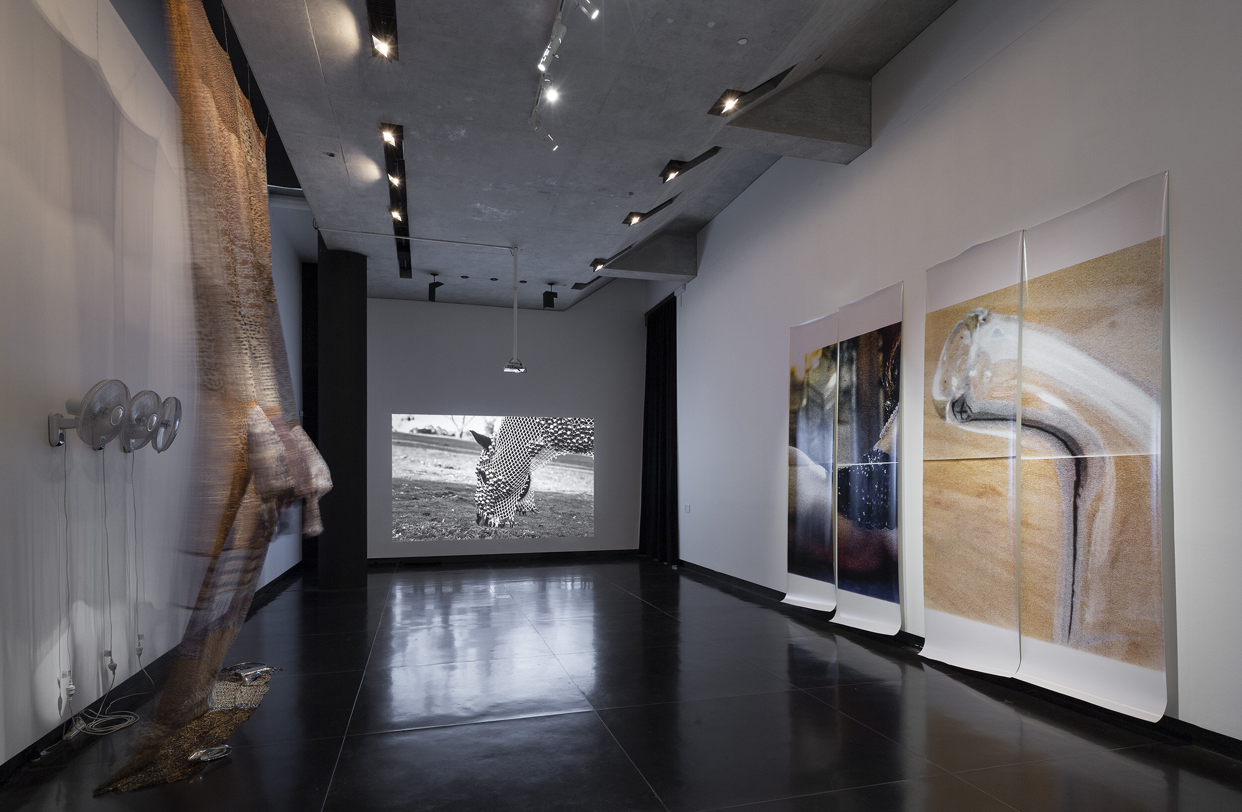 Photograph by Christian Capurro. Installation view, Performing textiles, Ian Potter Museum of Art, University of Melbourne.