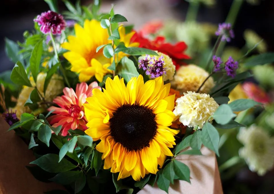 scattered seeds sunflower bouquet.jpg