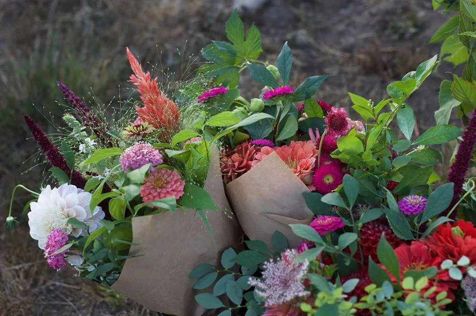 scattered seeds bouquets.jpg