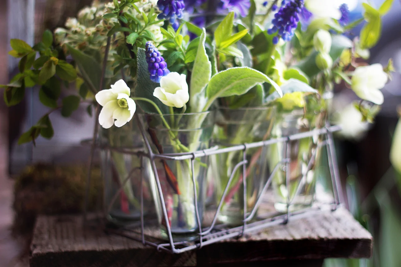 A gathering of cheerful spring blooms!