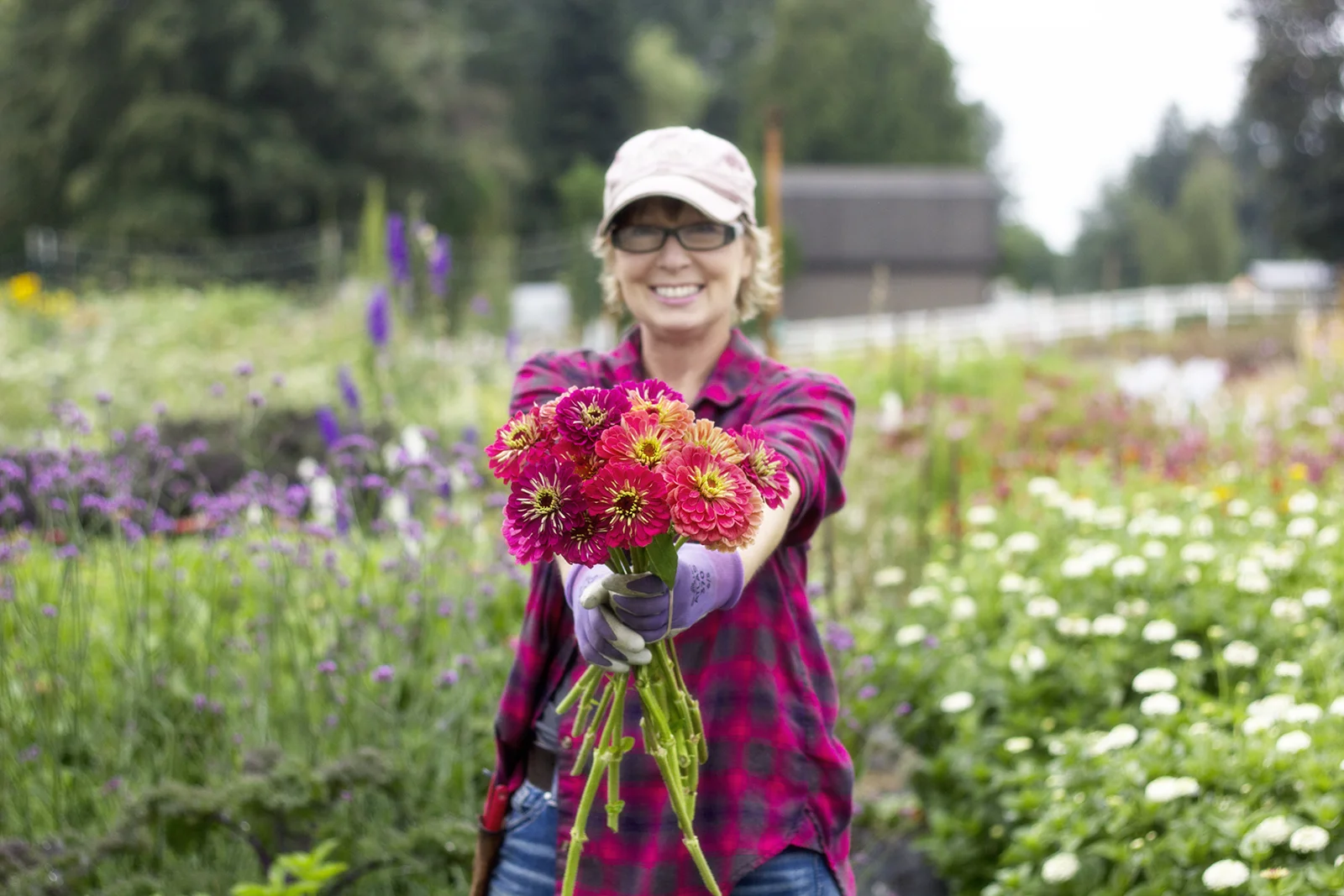 A harvest of beautiful zinnias!