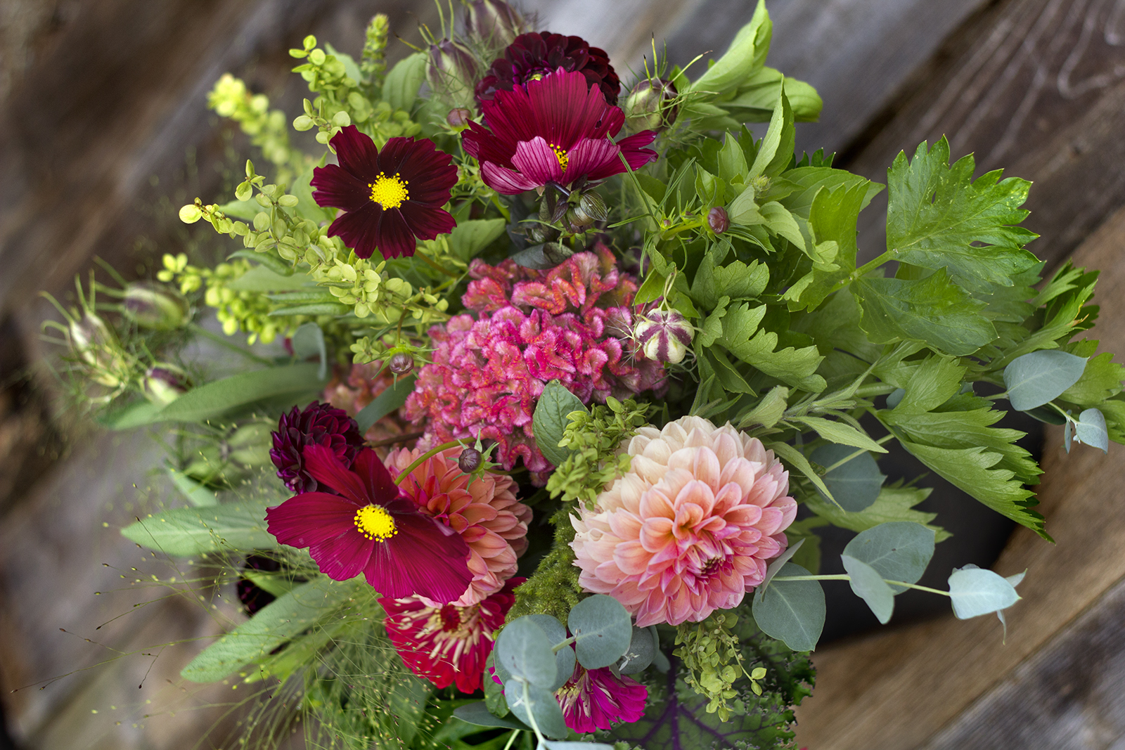 reduced_ss_gathering_ingredients_foliage_texture_flowers_cosmos_celosia_dahlia_atriplex.jpg