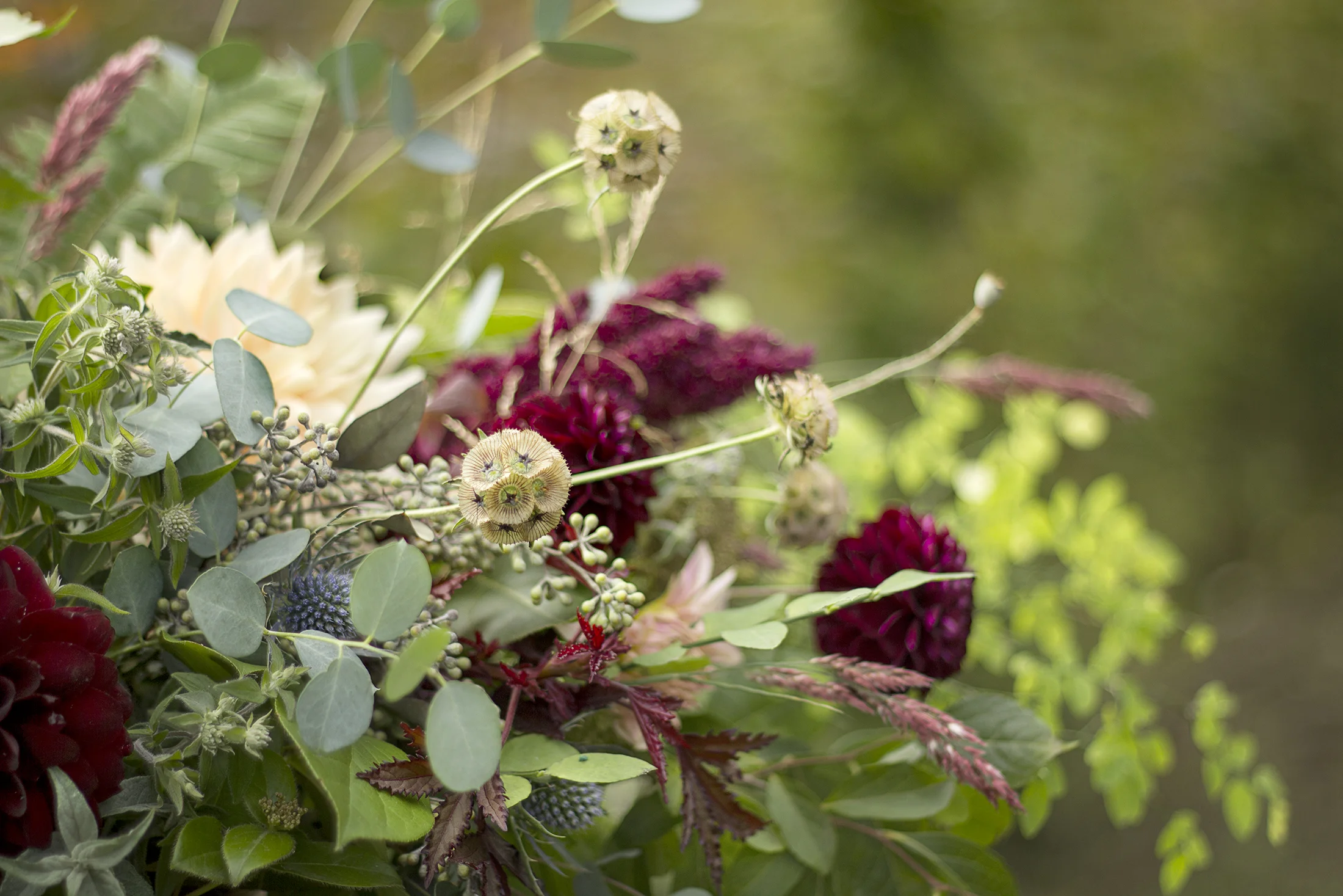 reduced_ss_ping_pong_sea_holly_hibiscus_seeded_eucalyptus_ruby_grass_amaranthus.jpg