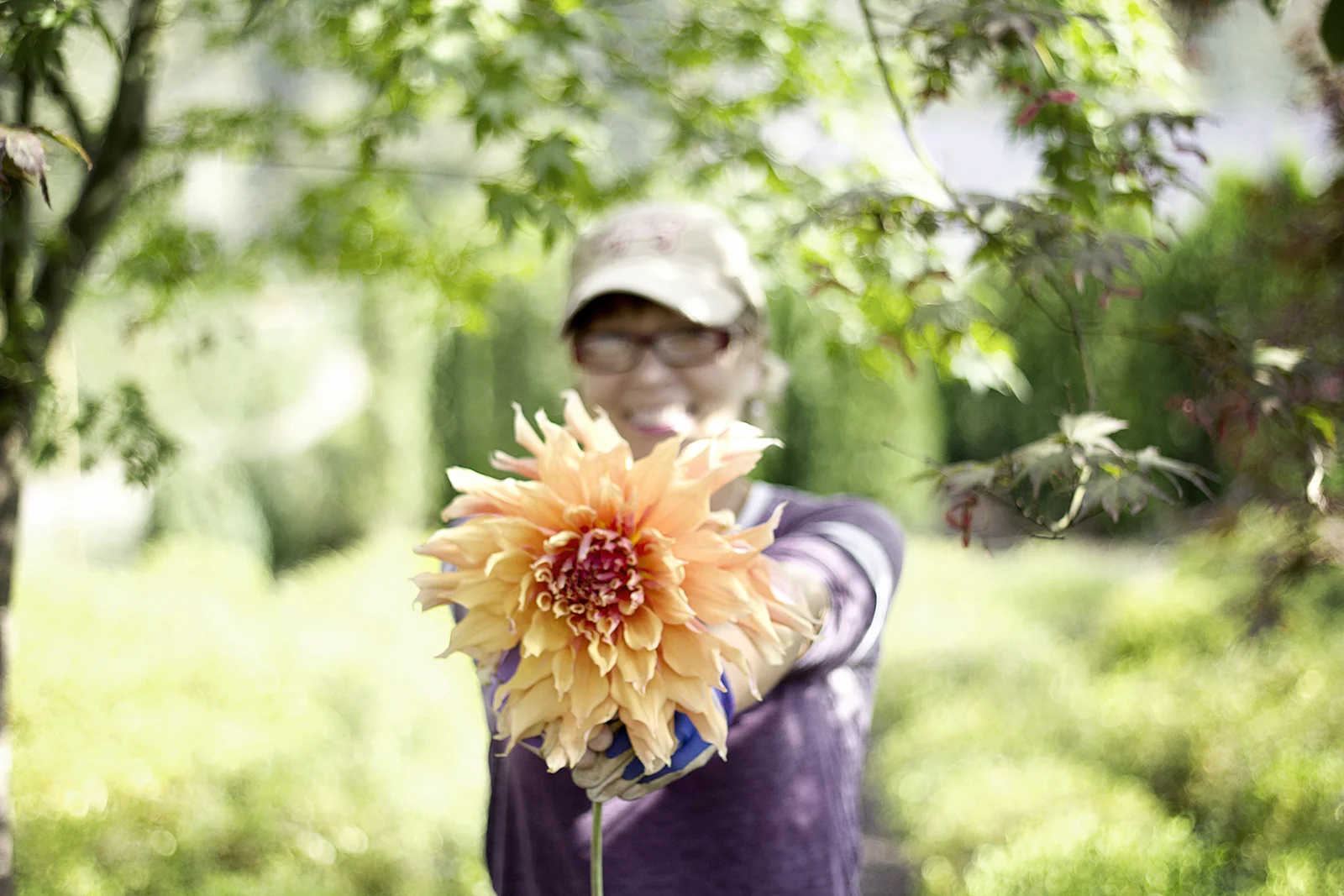 reduced_ss_dahlia_sherwoods_peach_summer_garden.jpg
