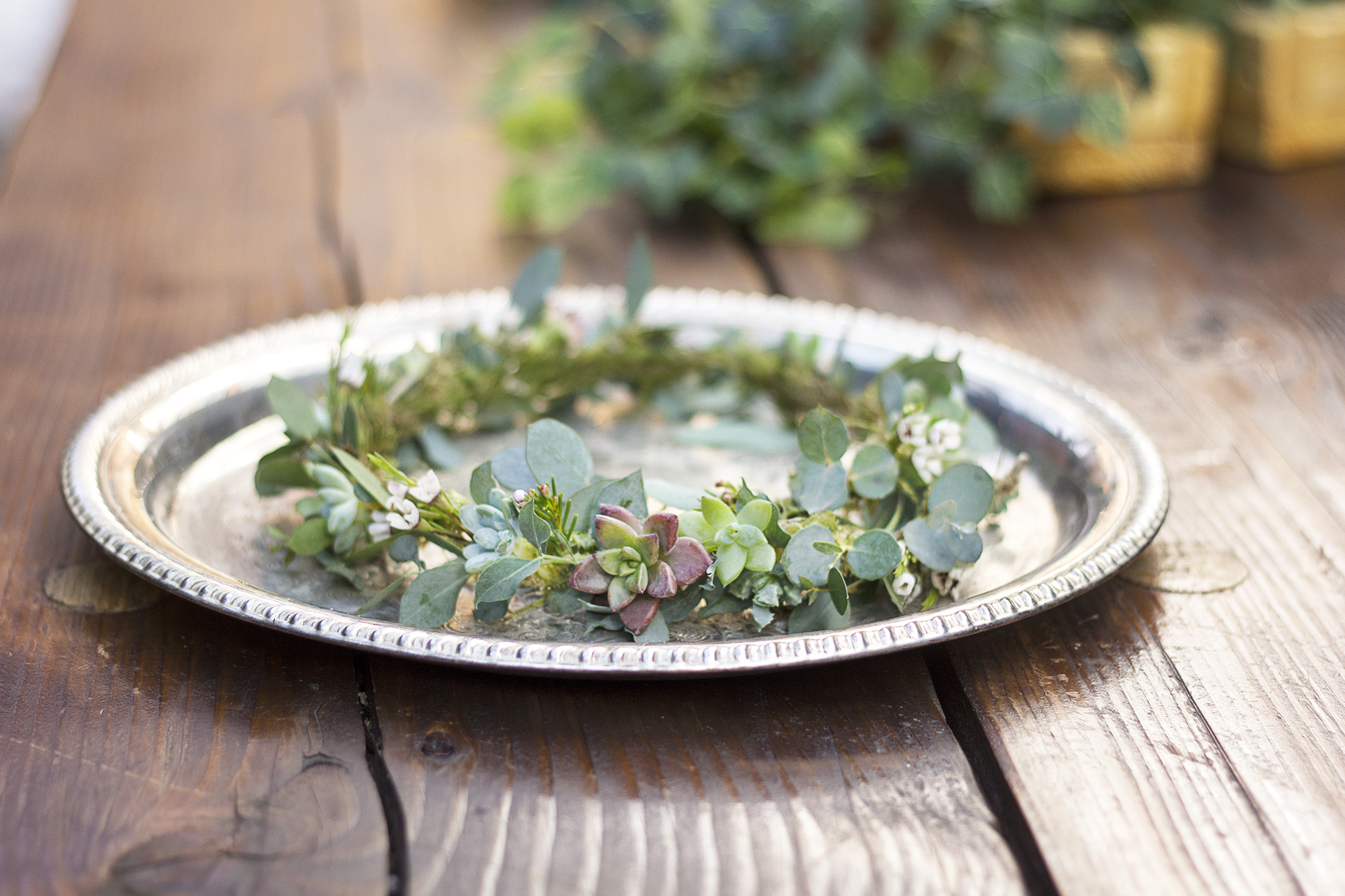 reduced_ss_flower_crown_succulents_kelly_november.jpg