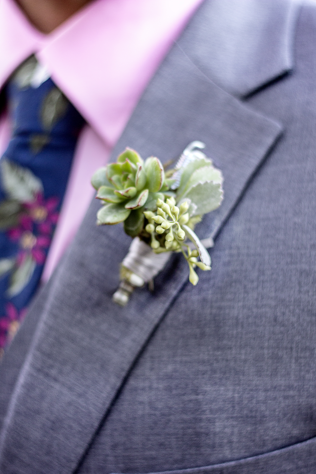 reduced_ss_succulent_bout_sparkplug_kelly_..jpg