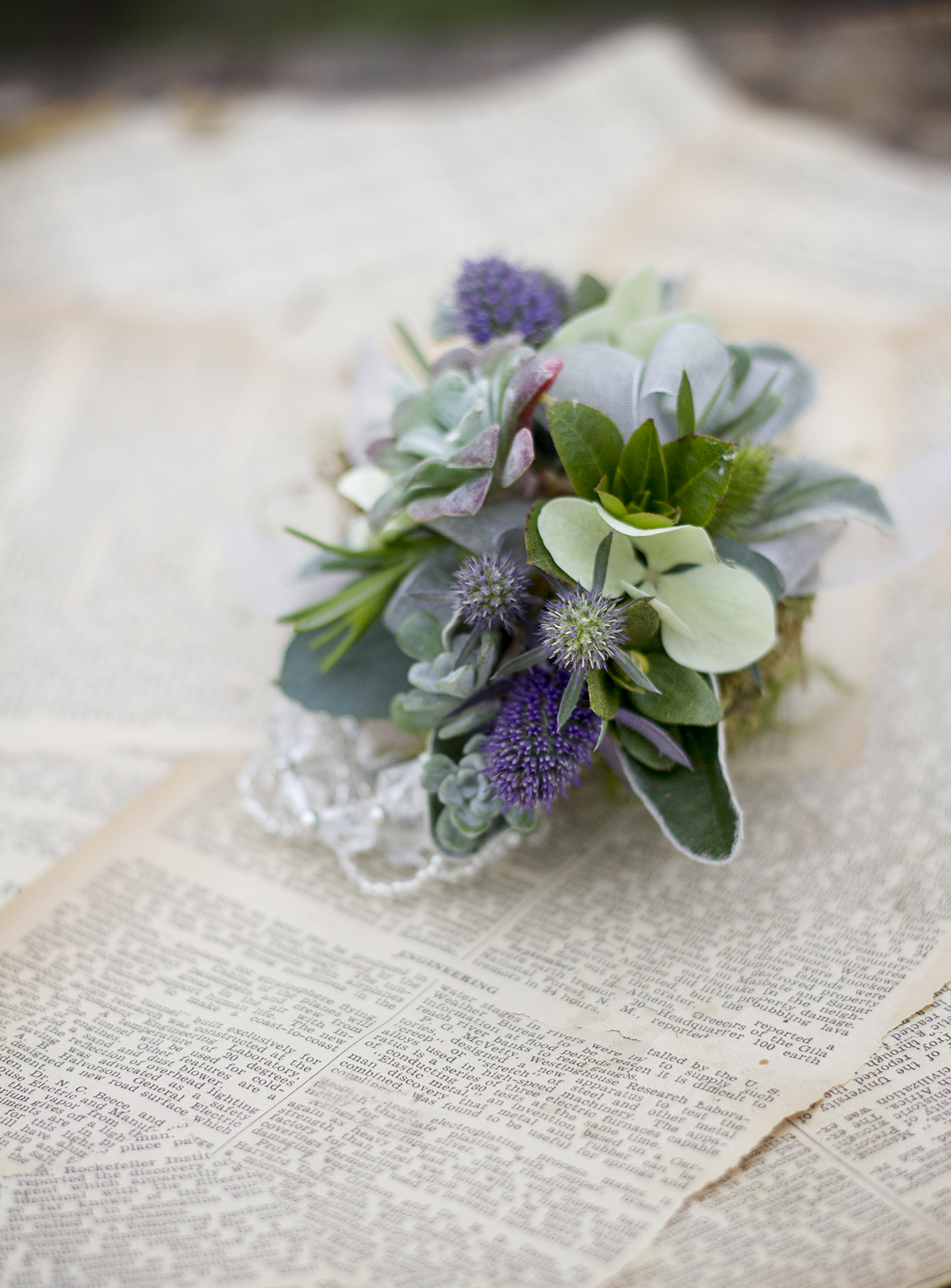 reduced_ss_corsage_succulent_sea_holly_homecoming.jpg