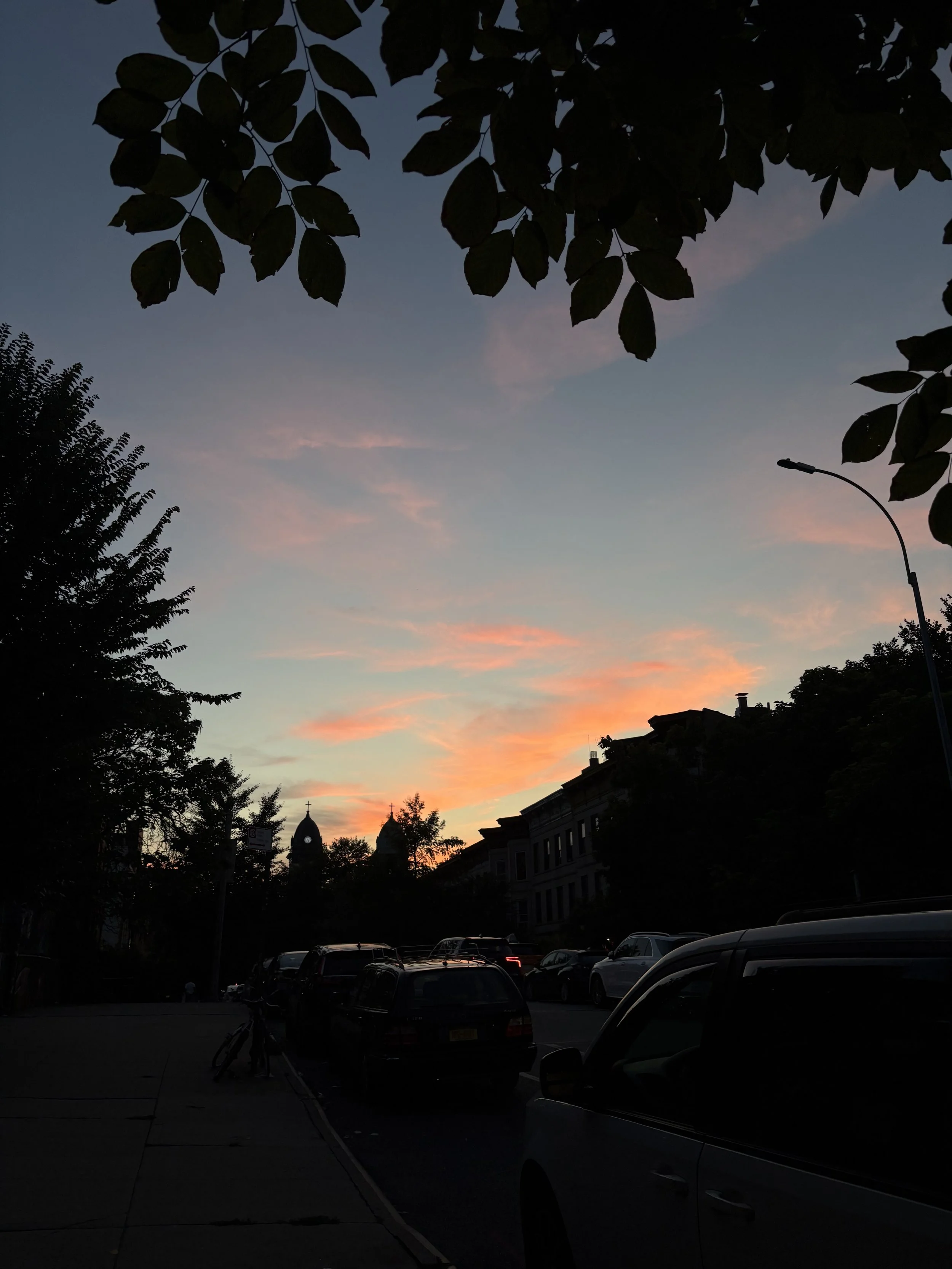 IMG_7050.jpeg