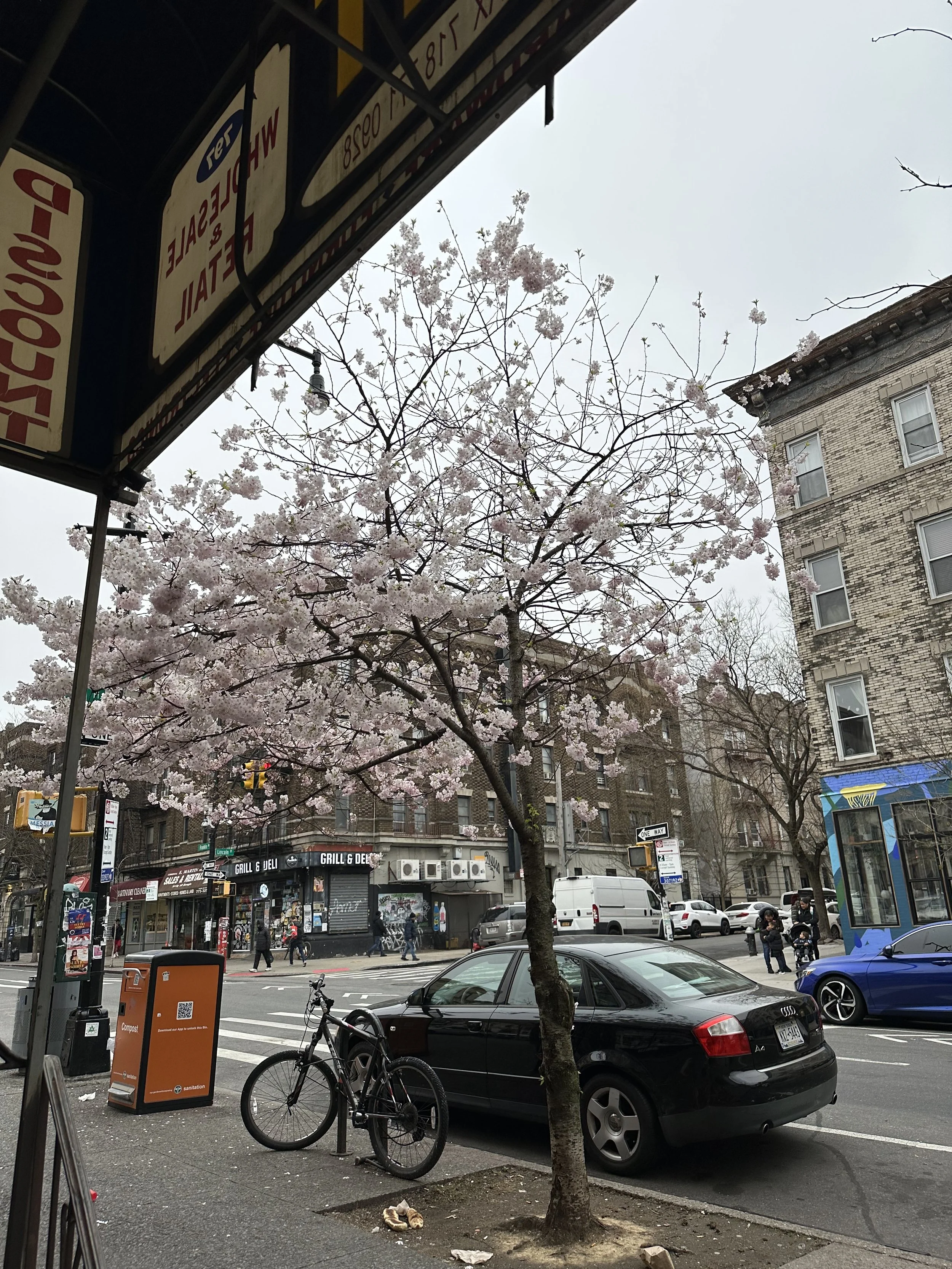 IMG_7573.jpeg