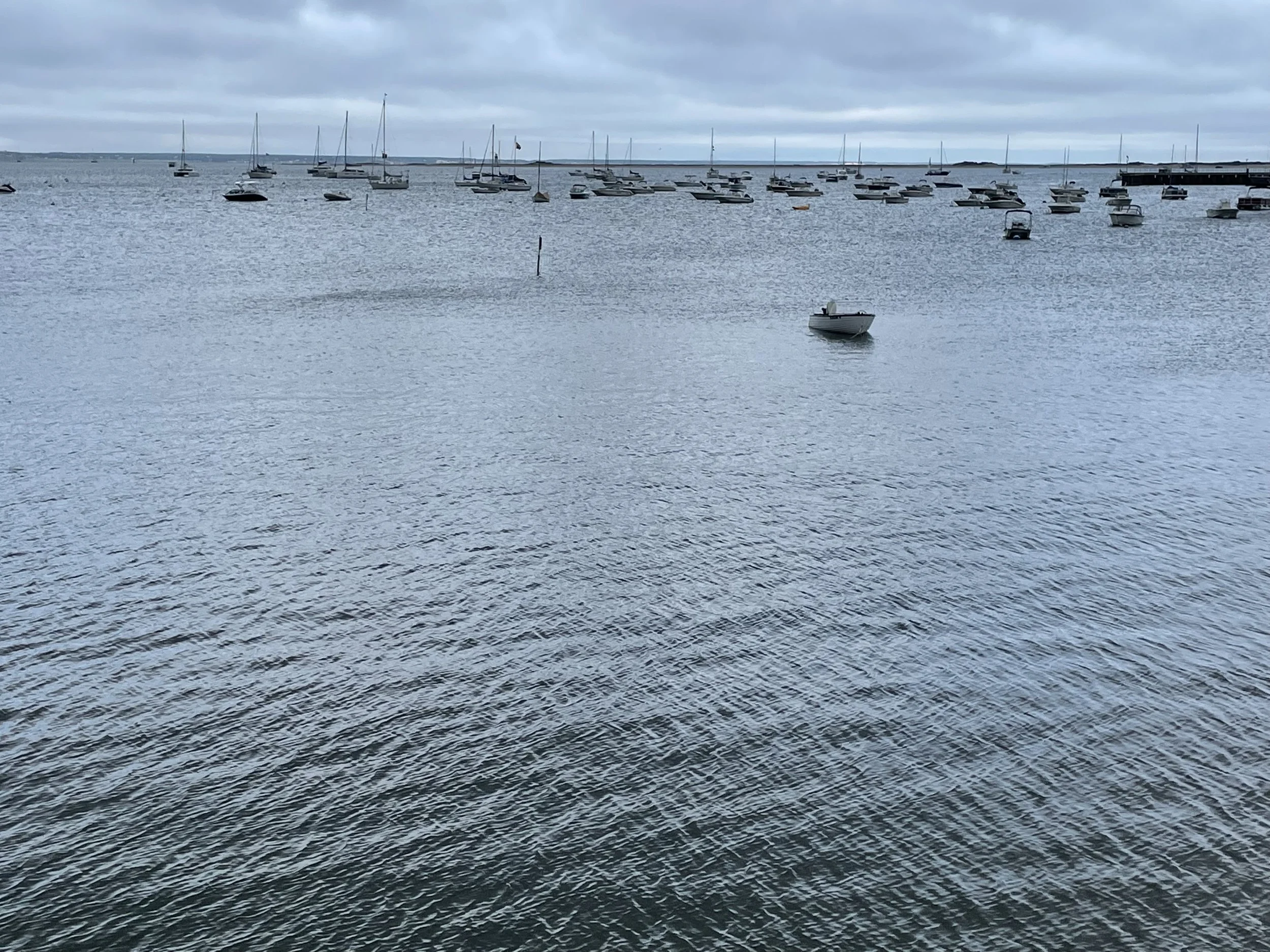 IMG_0763.jpeg