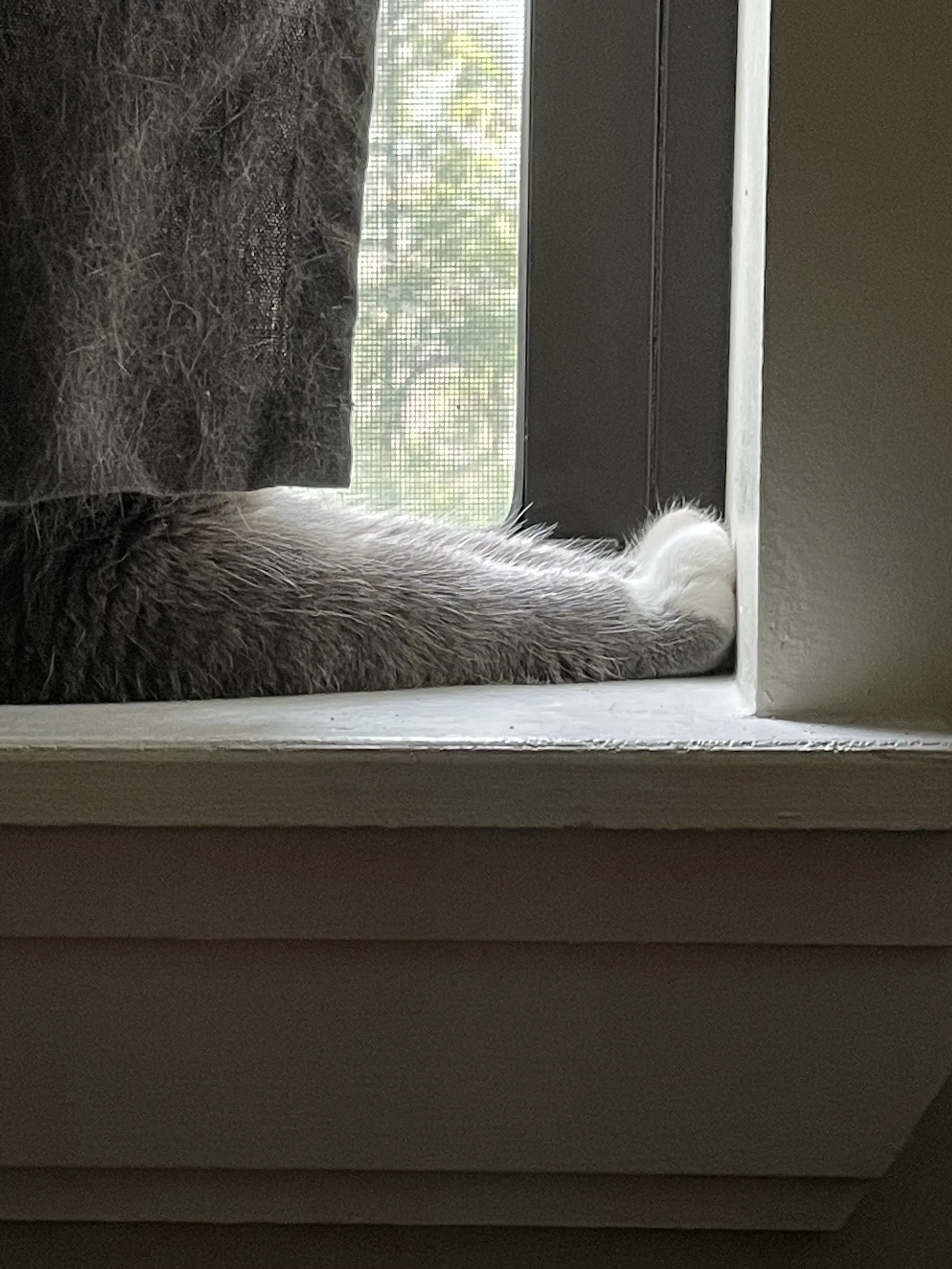 IMG_0690.jpeg
