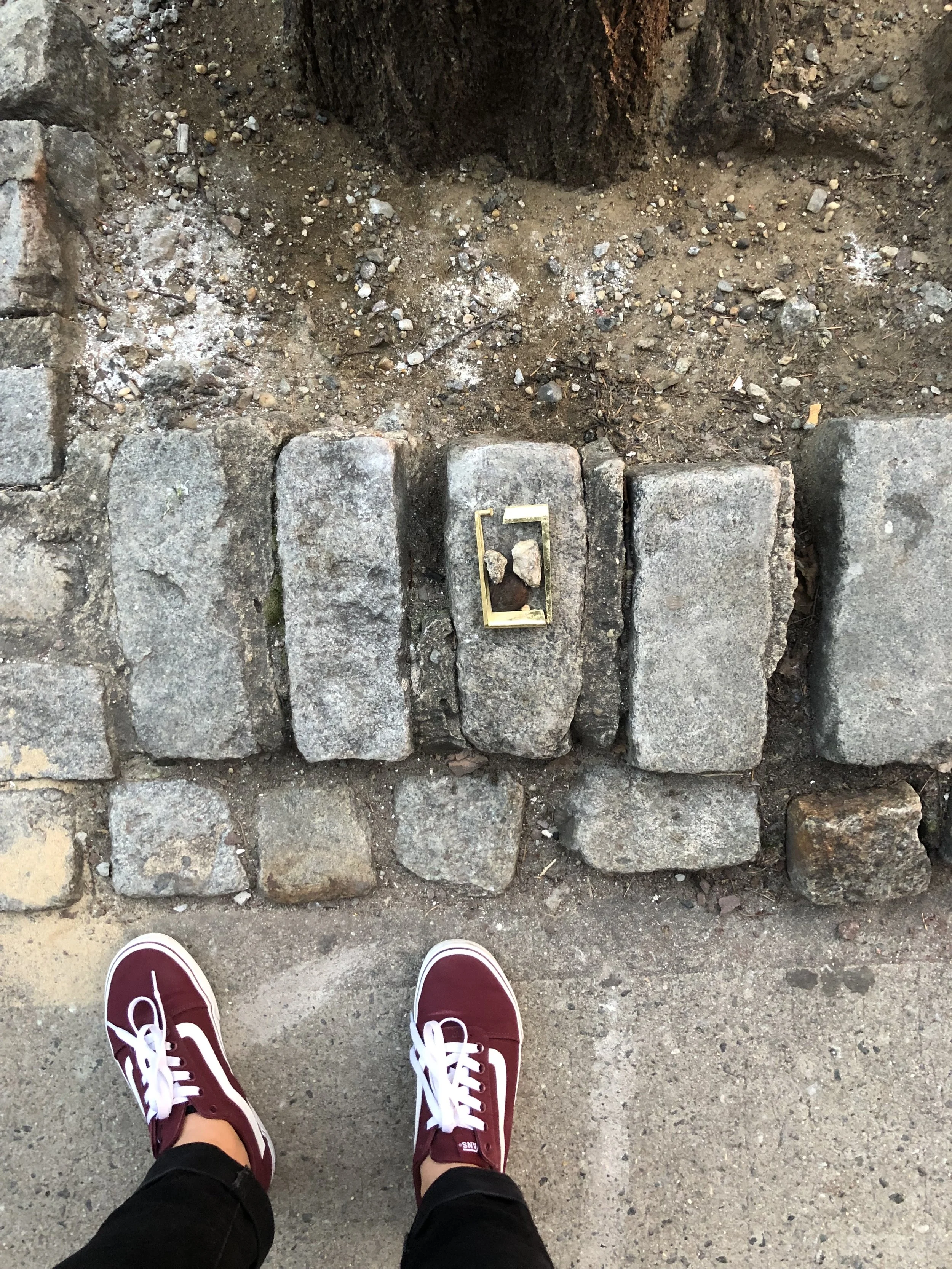 IMG_2362.jpeg