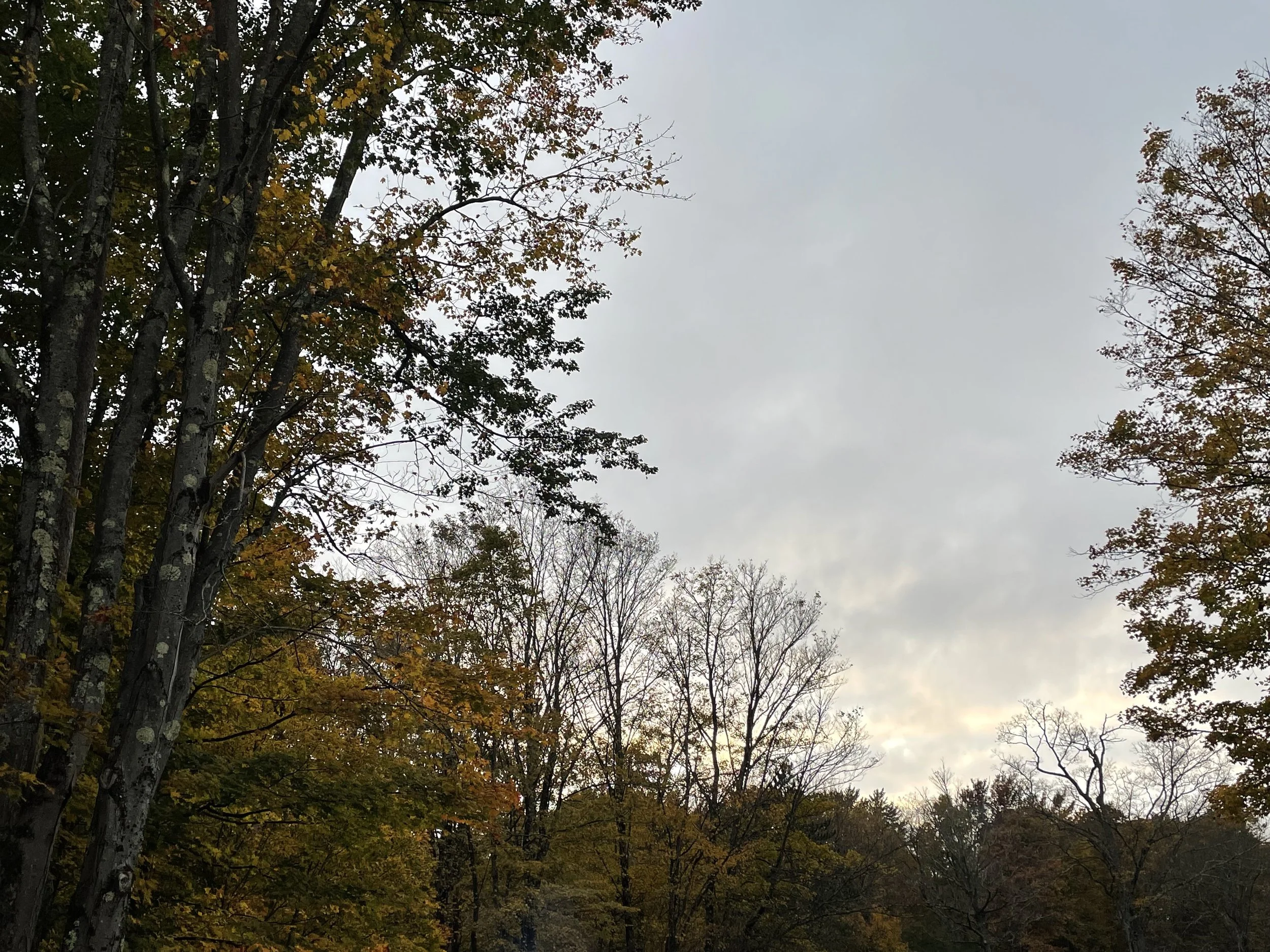 IMG_1659.jpeg
