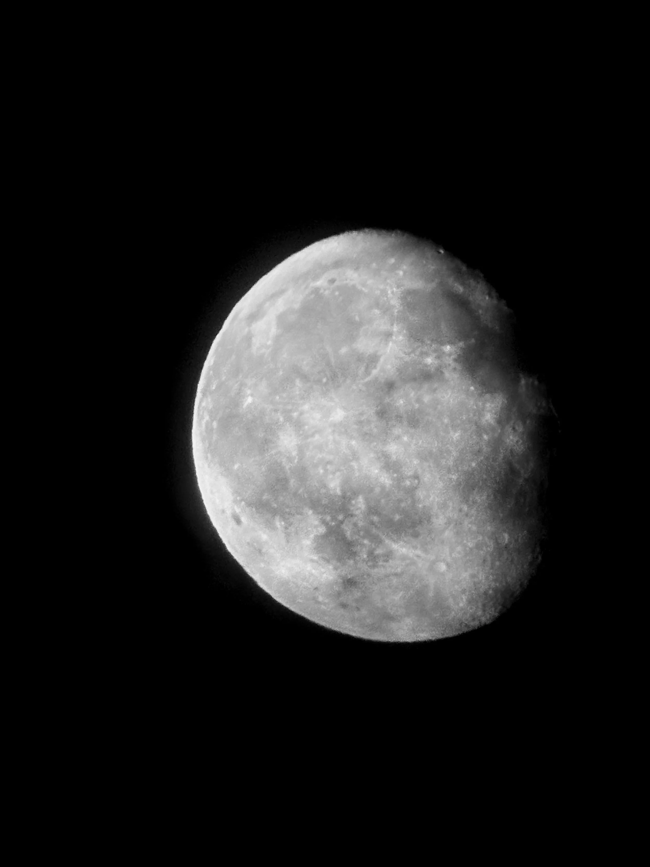 IMG_7426.jpeg