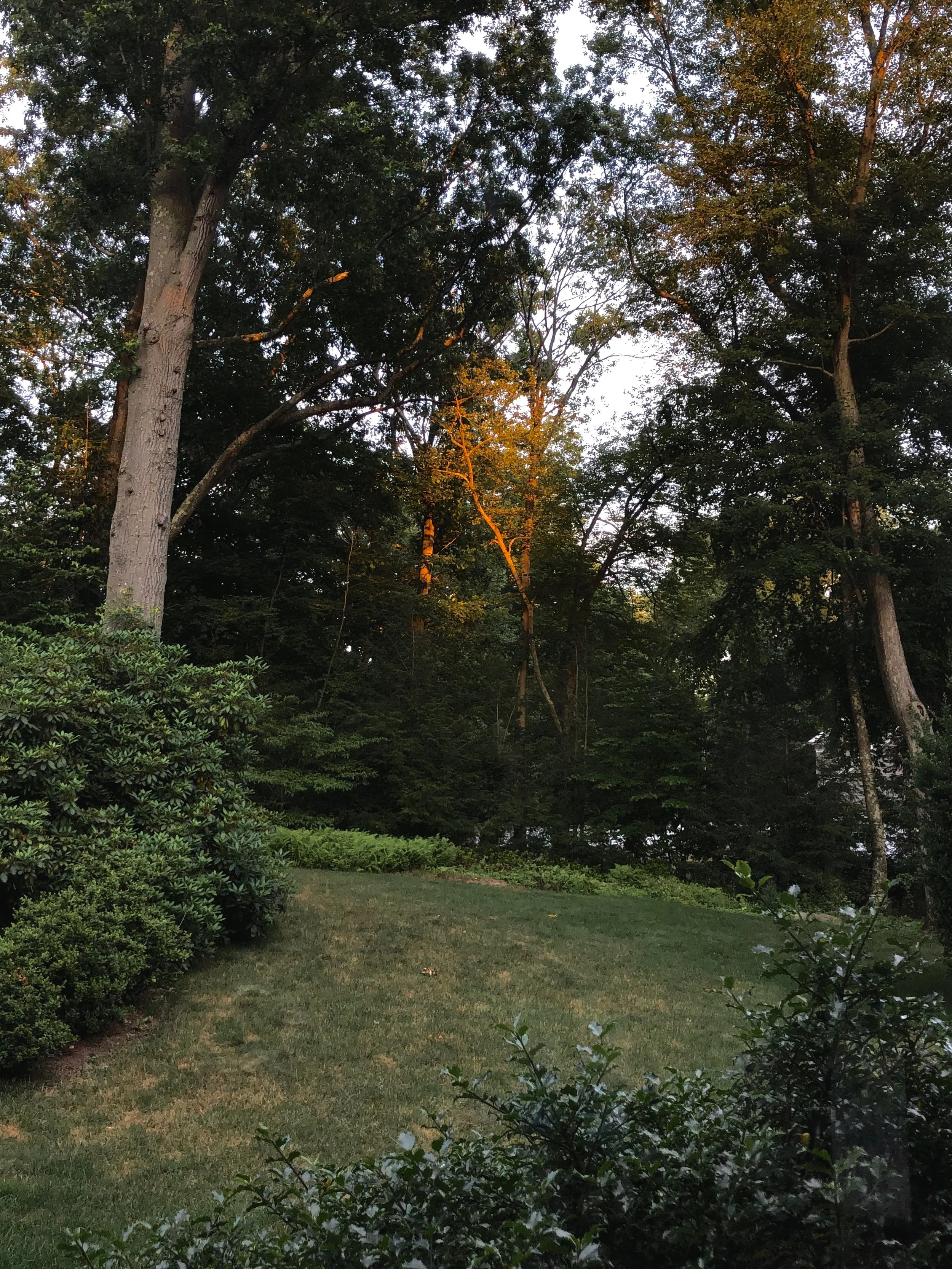 IMG_7342.jpeg