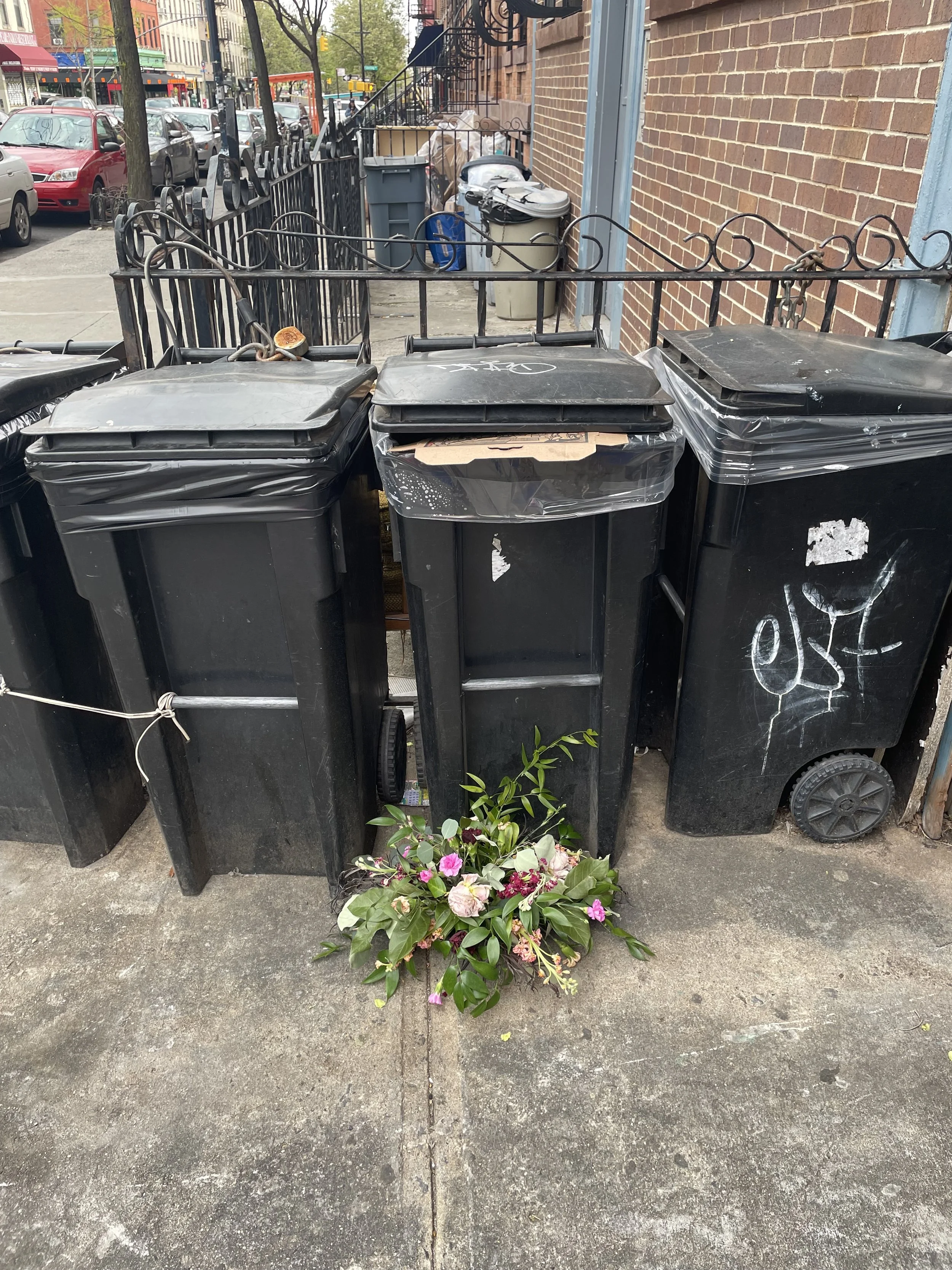IMG_2973.jpeg