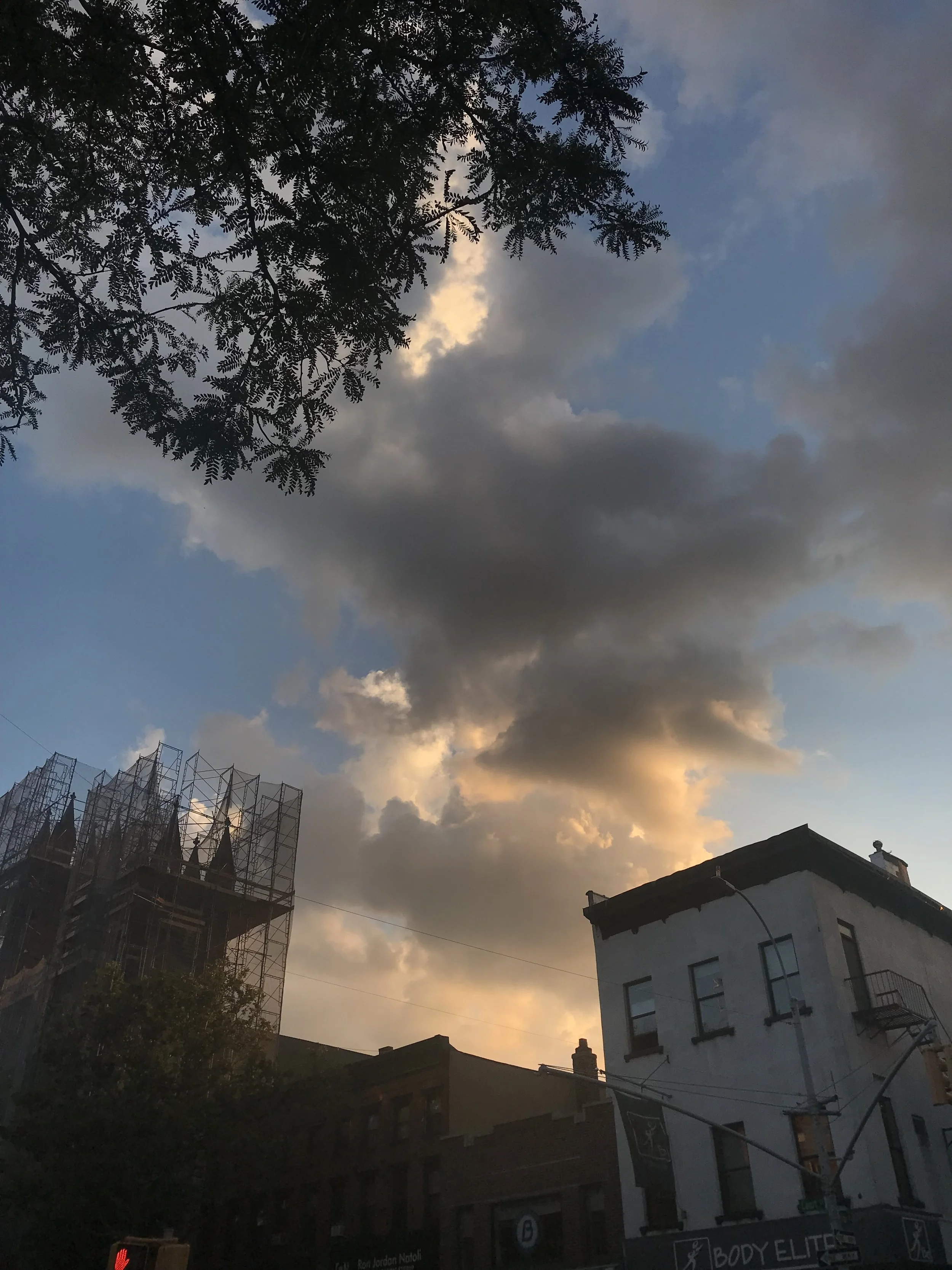 IMG_9467.jpeg
