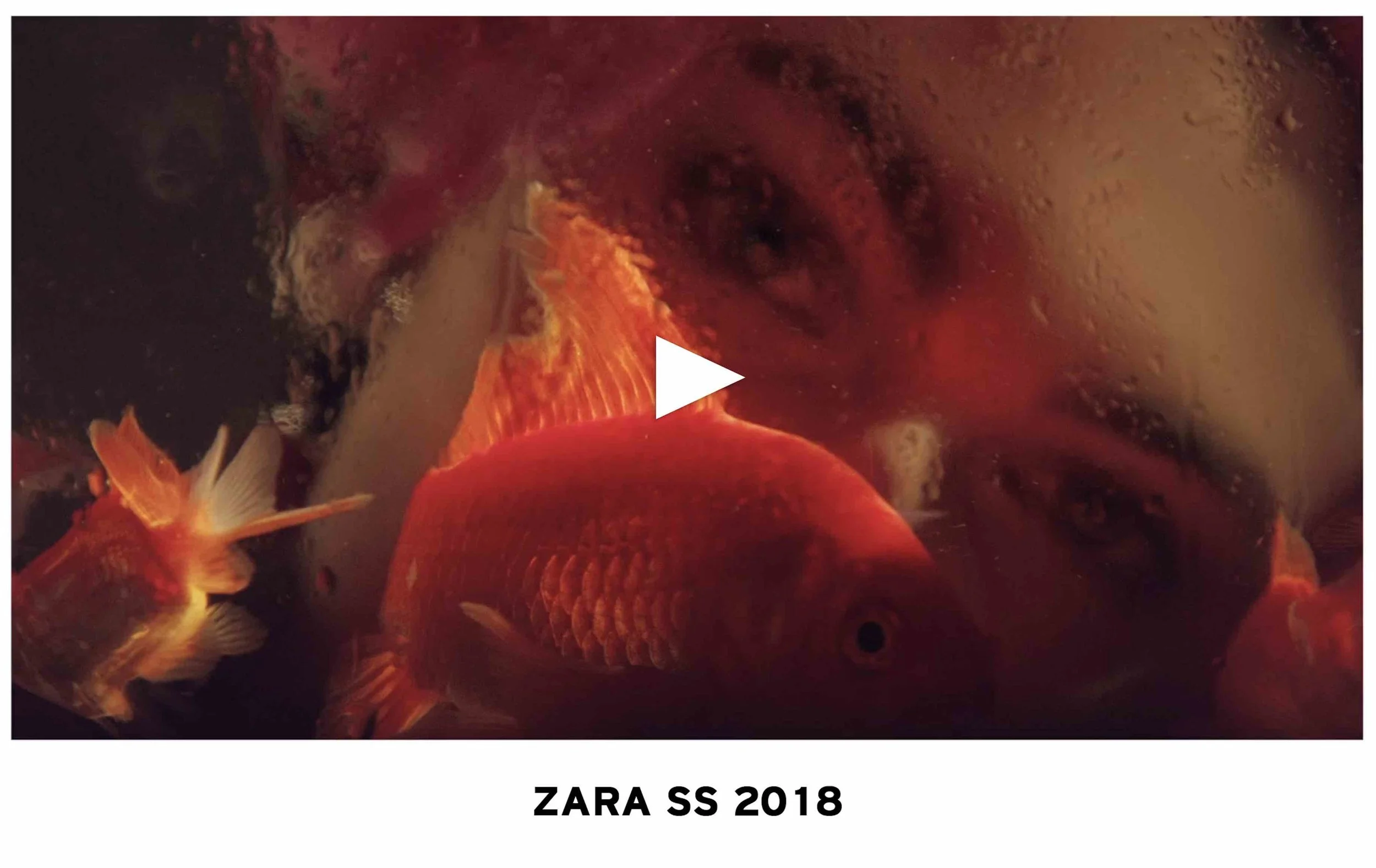 Zara SS 2018