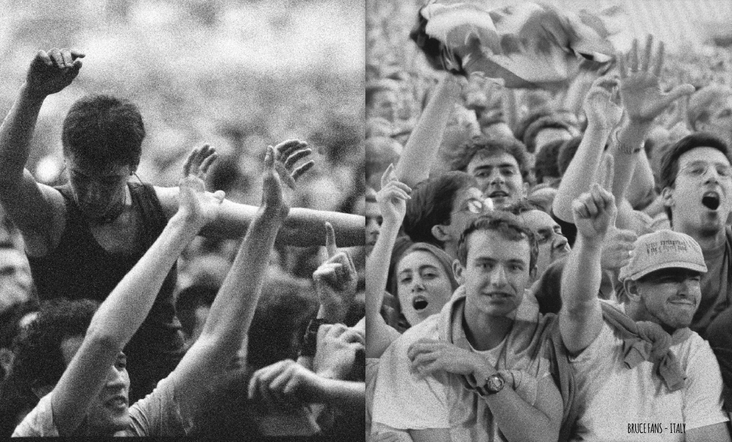 Bruce Italy Fans 3 copy.PNG