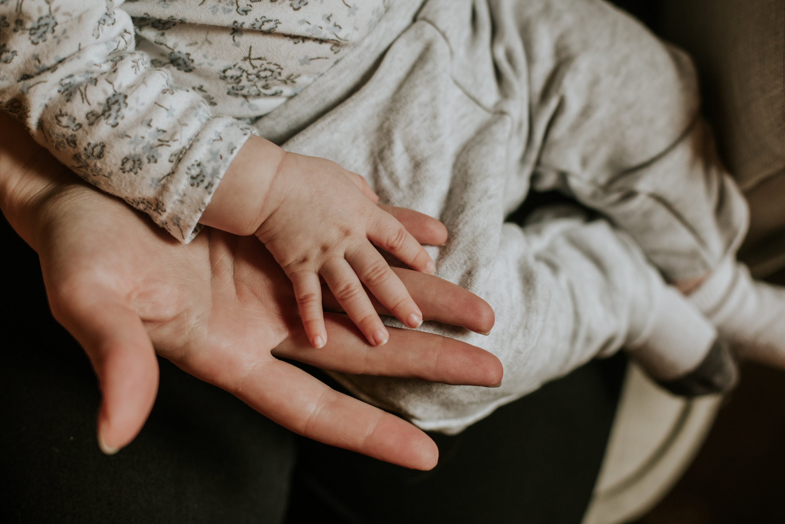 Maine Newborn Photographer