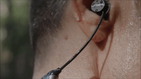 Animated GIF-downsized_large.gif
