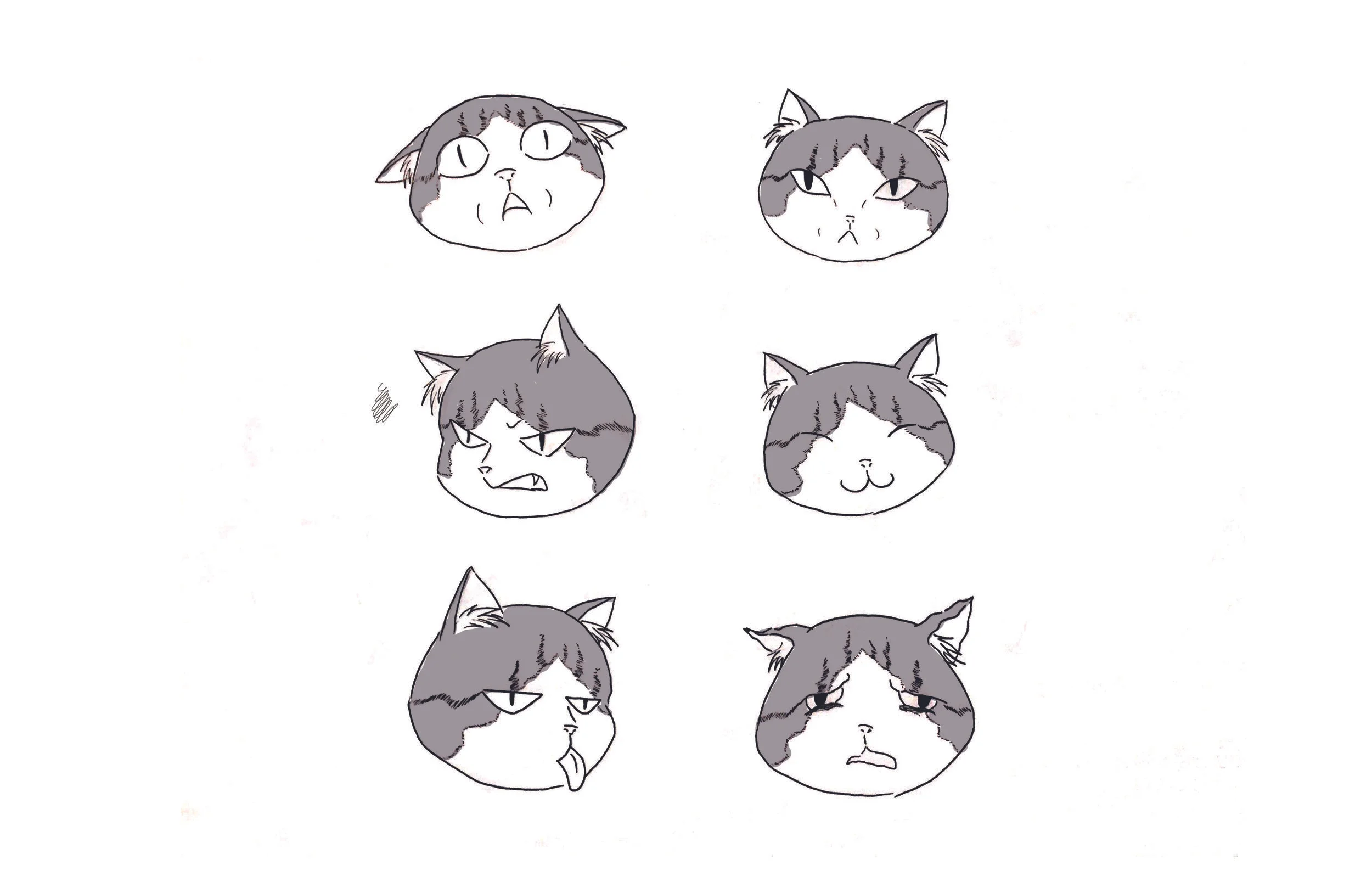 faces.jpg