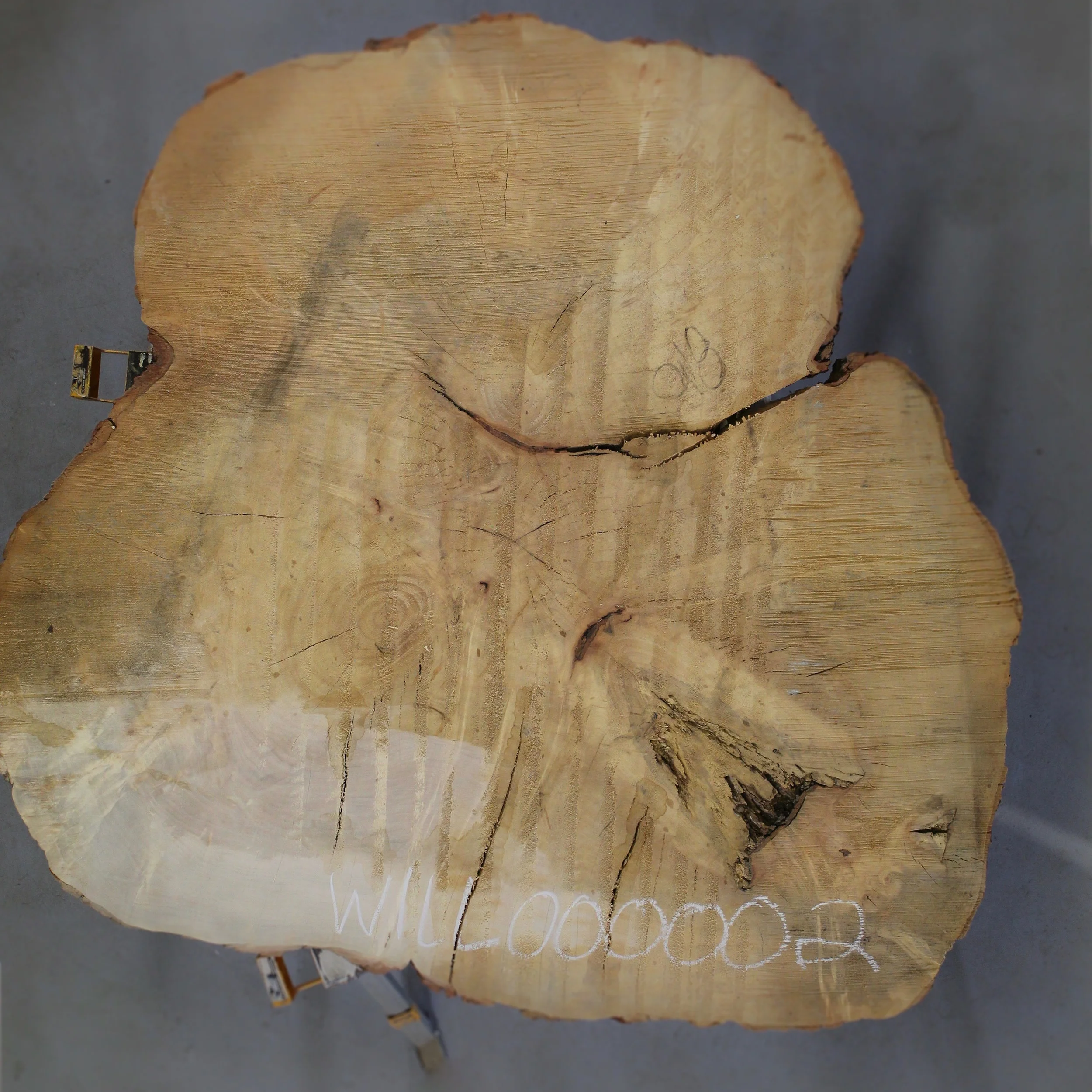 WILL000002Underside.jpg