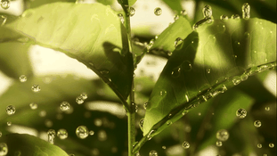 71609cb5-004f-4421-9c6b-a8cf2326d65d_md.gif