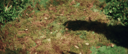 88569415-b1c3-432f-a2a5-56f7507d113d_md.gif