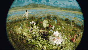 0698fe19-e5a4-454b-8ade-6a5c6db84b95_md.gif