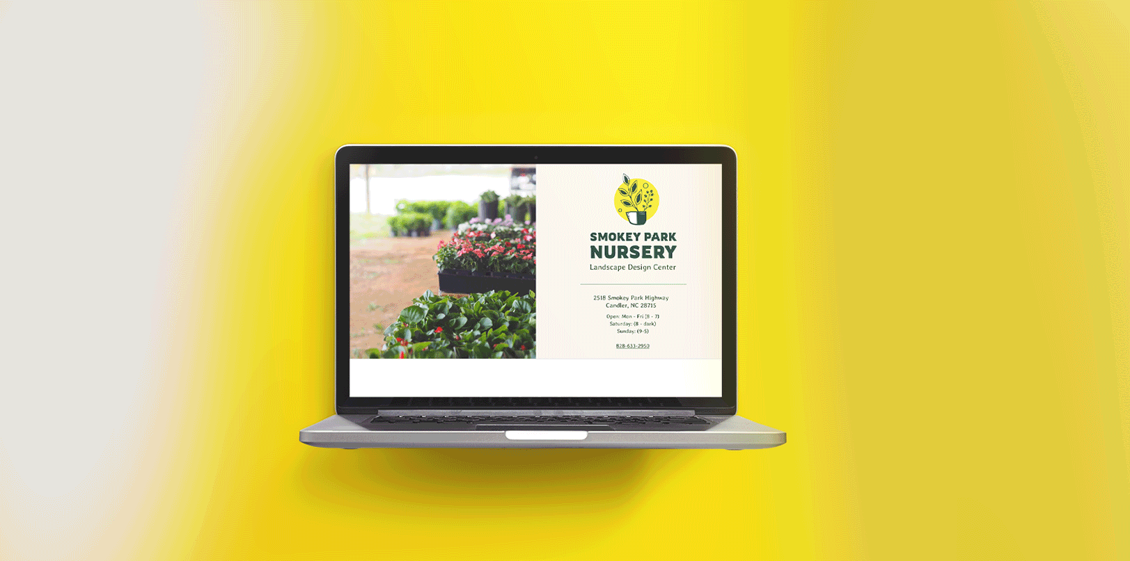 Website & Brand Design — Dena Rutter Design