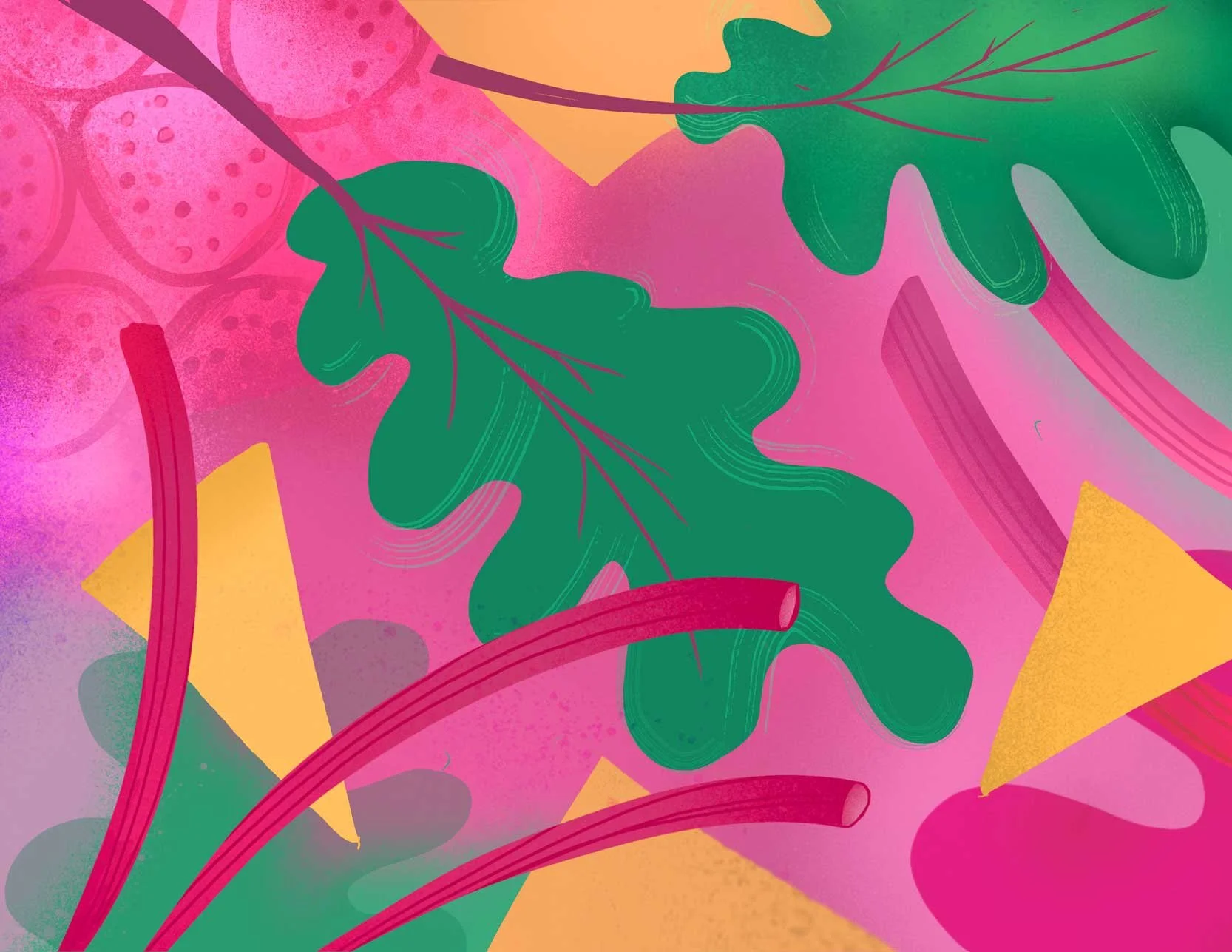 rhubarb illustration