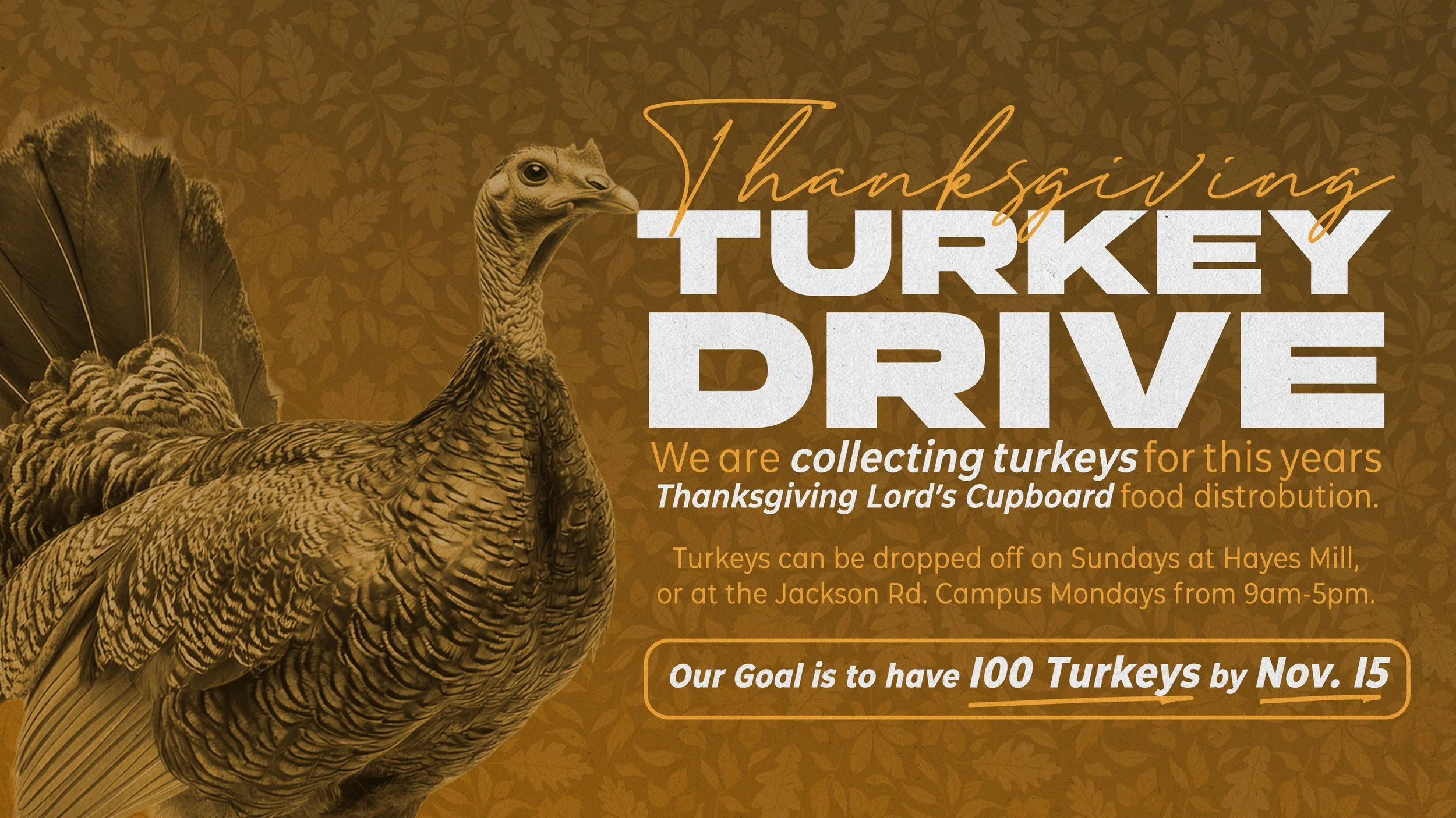 Thanksgiving Turkey Drive copy.jpg