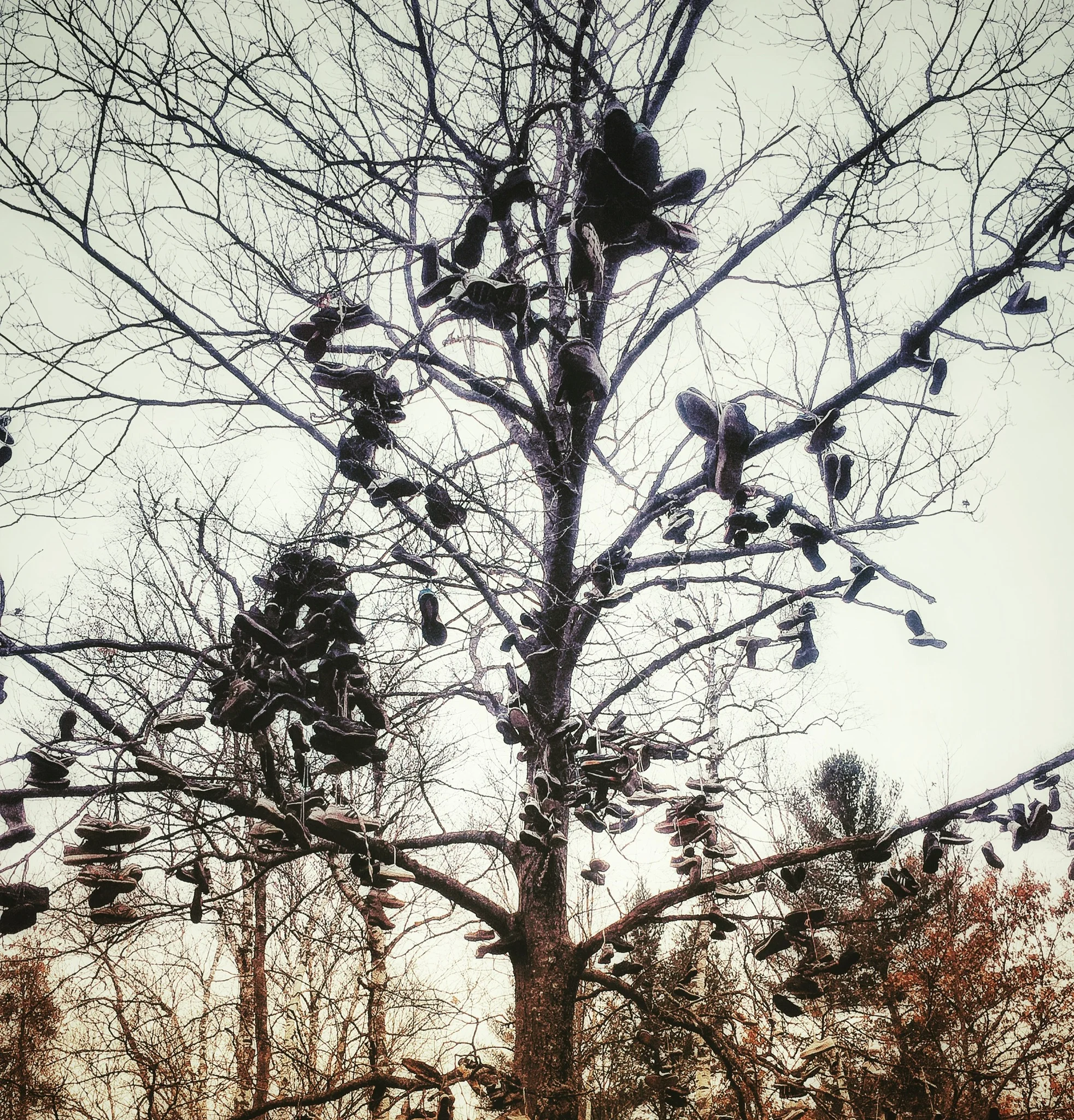 She Celebrates: Deer Hunting and Widow’s Weekend: Unofficial Holidays of the Northwoods