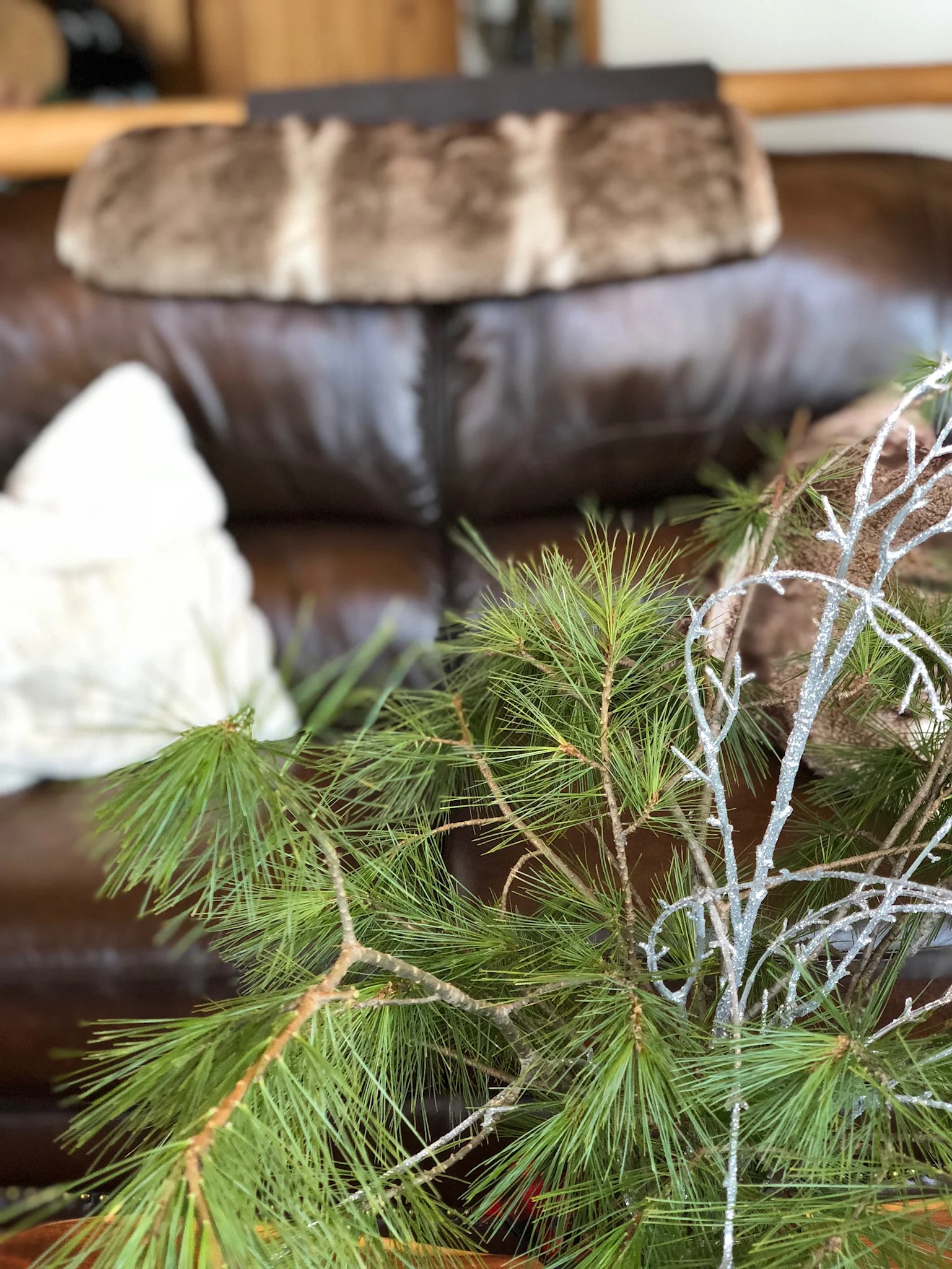 She Lives: Adding Cabin Elements To Your Living Space