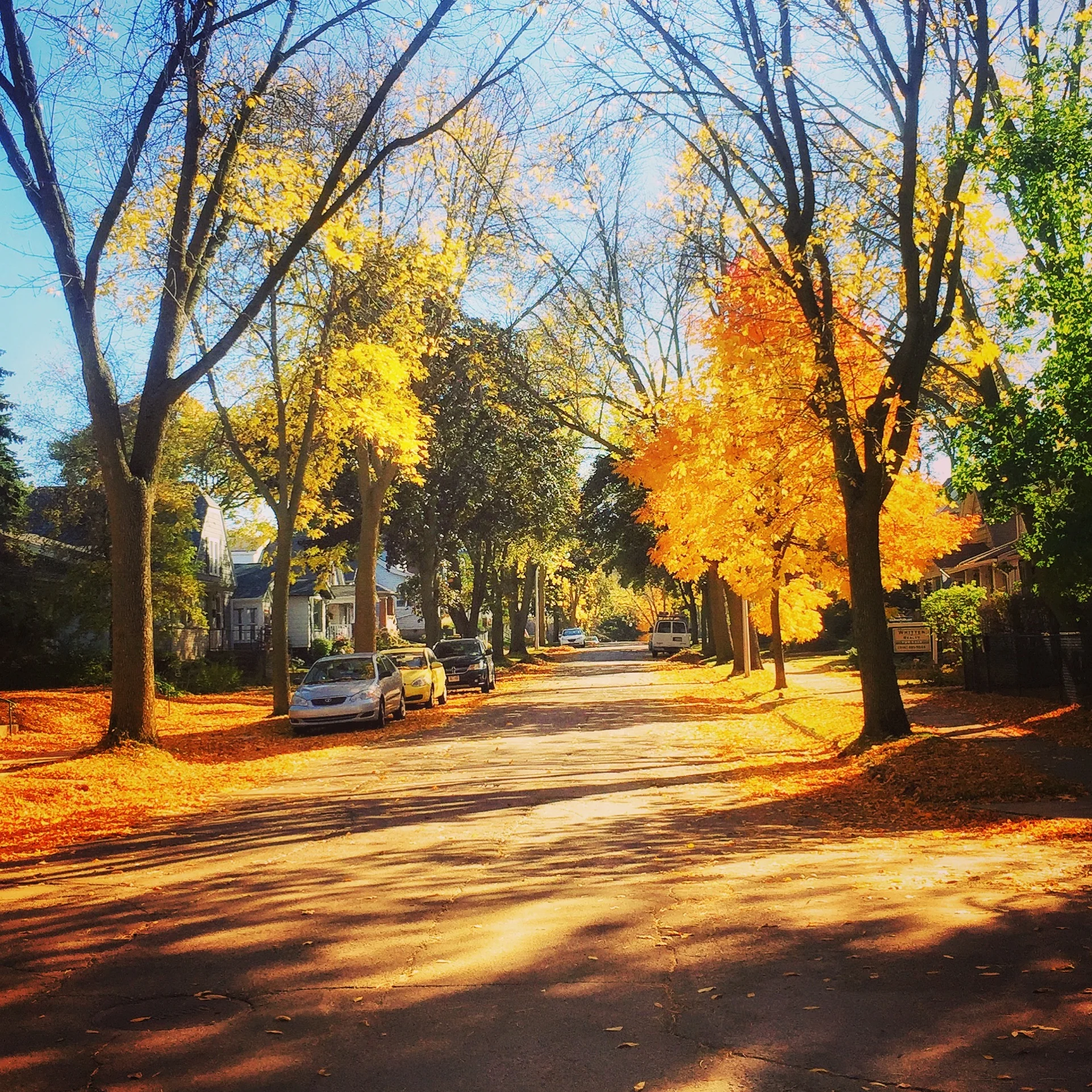 She Loves: Fall in the Northwoods