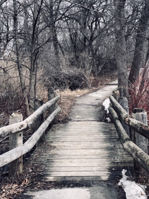 She Freaks! Hauntings of the North Midwest
