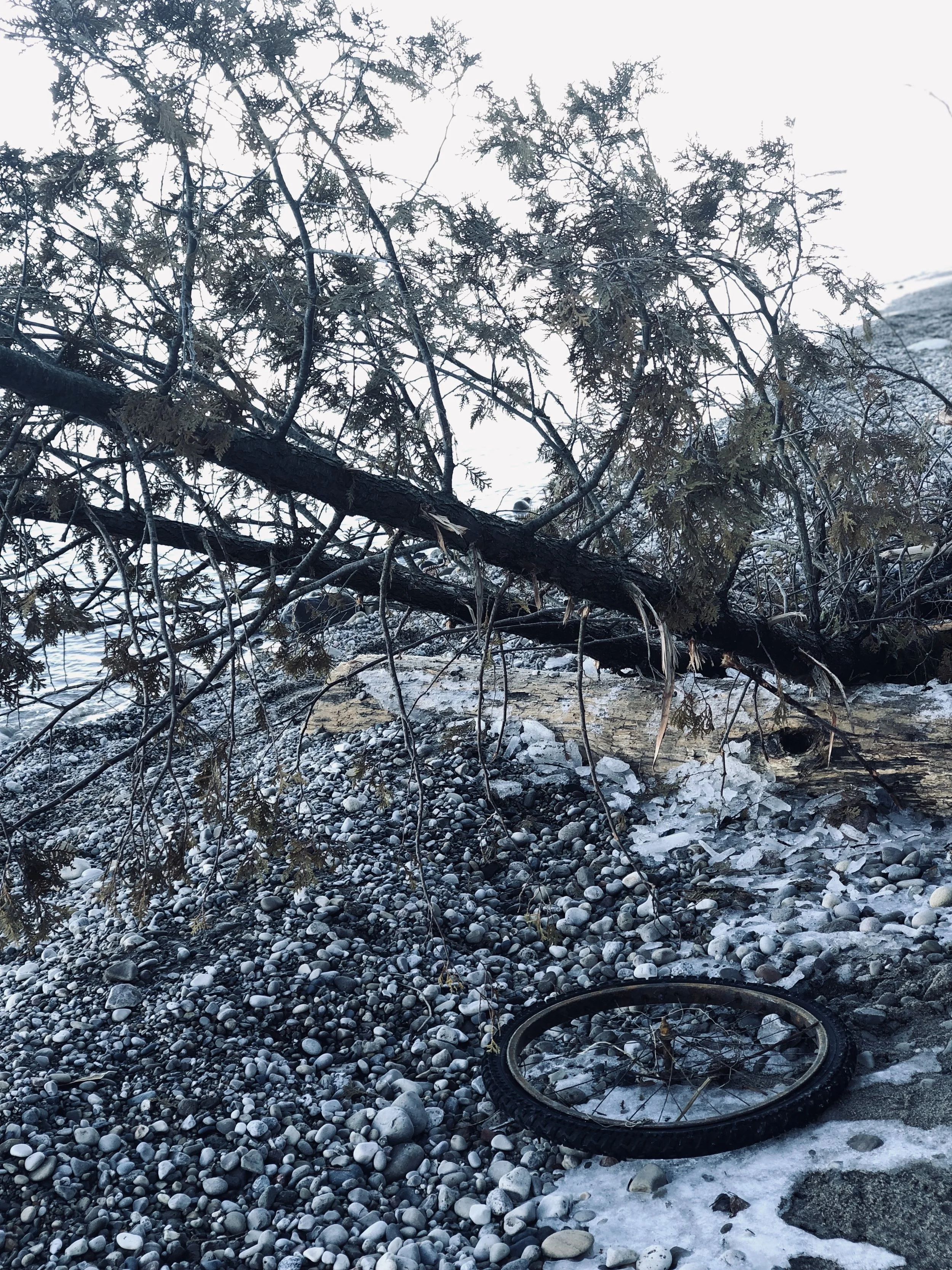 She Builds: 2019 Intentions