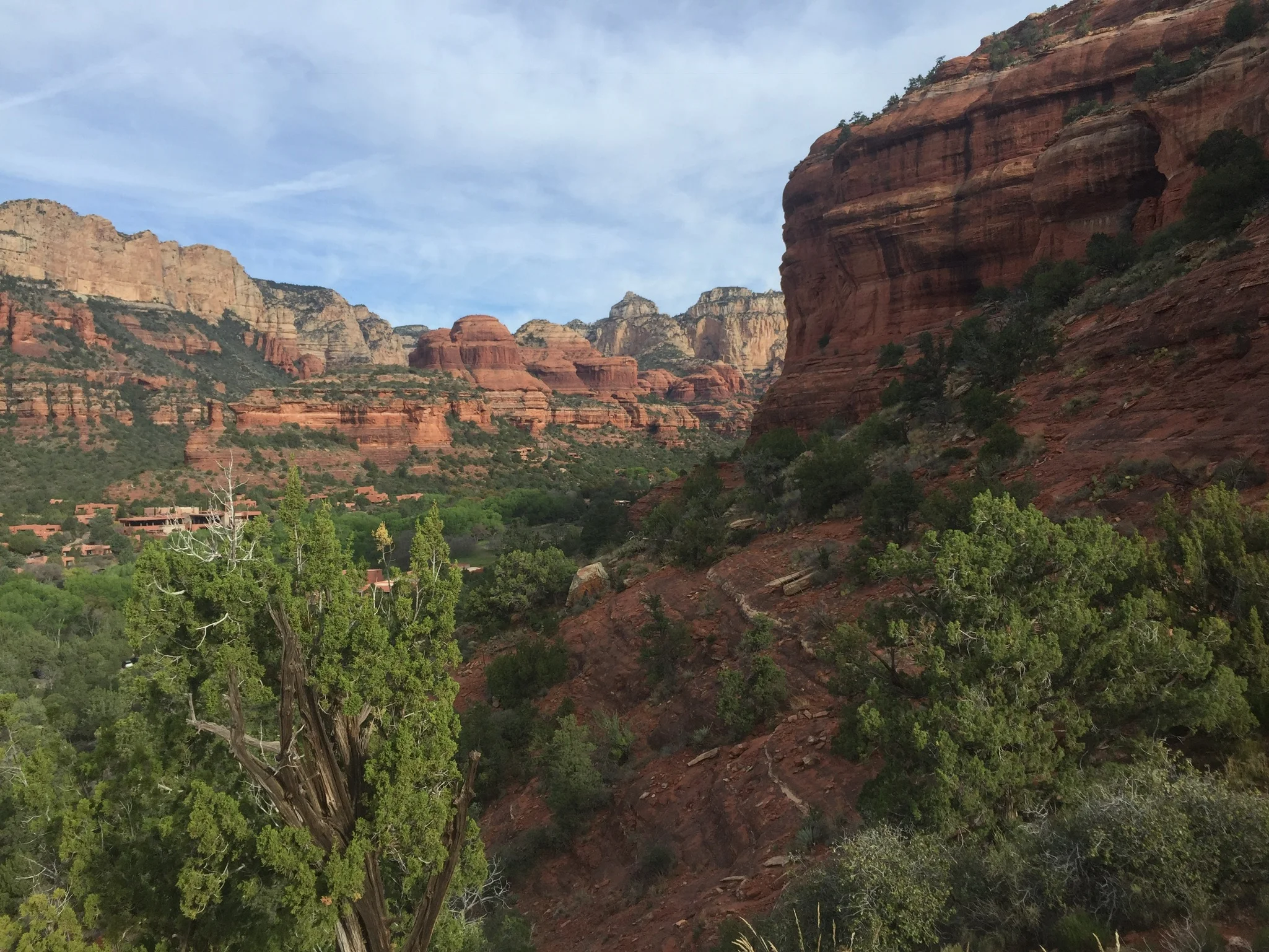 She Does: 30 Before 30