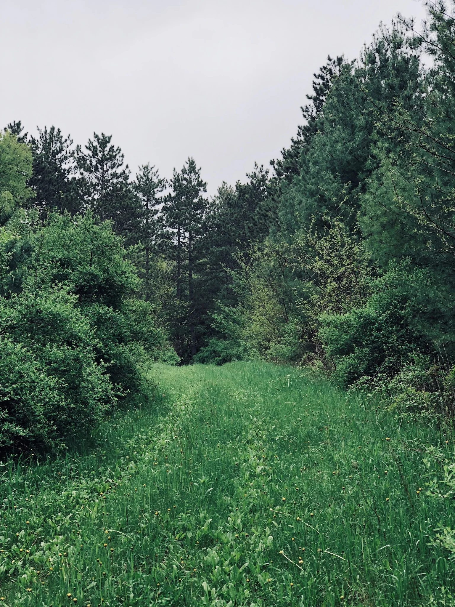 She Confesses: Why I Hate Hiking