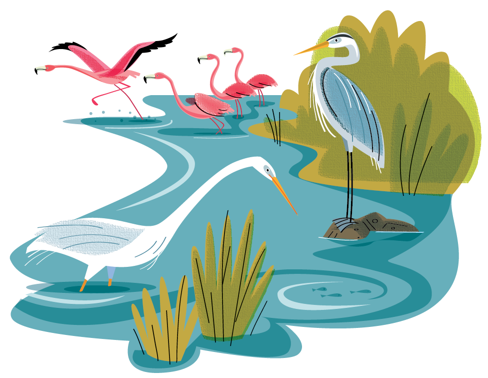 Everglades National Park.