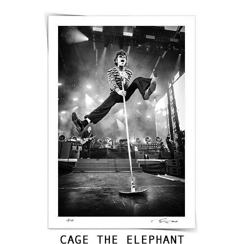 Cage The Elephant - Fine Art Print