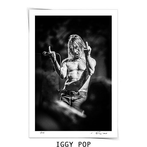 Iggy Pop #2 - Fine Art Print