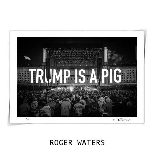 Roger Waters #4 - Fine Art Print