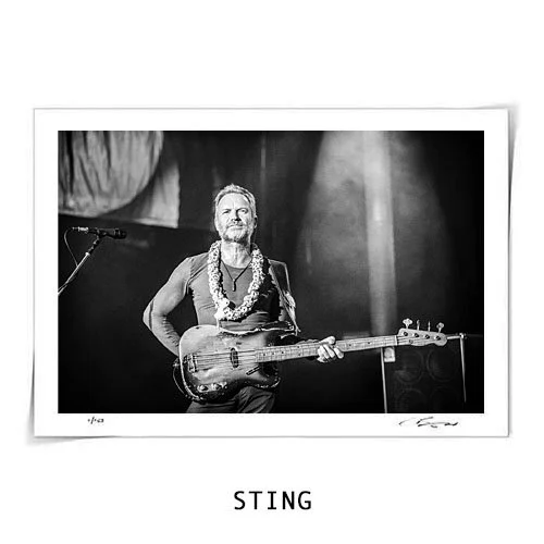 Sting - Fine Art Print