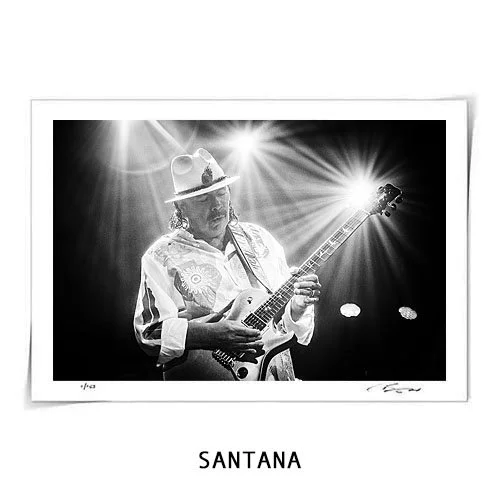 Santana - Fine Art Print