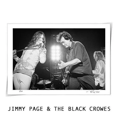 Jimmy Page & The Black Crowes - Fine Art Print